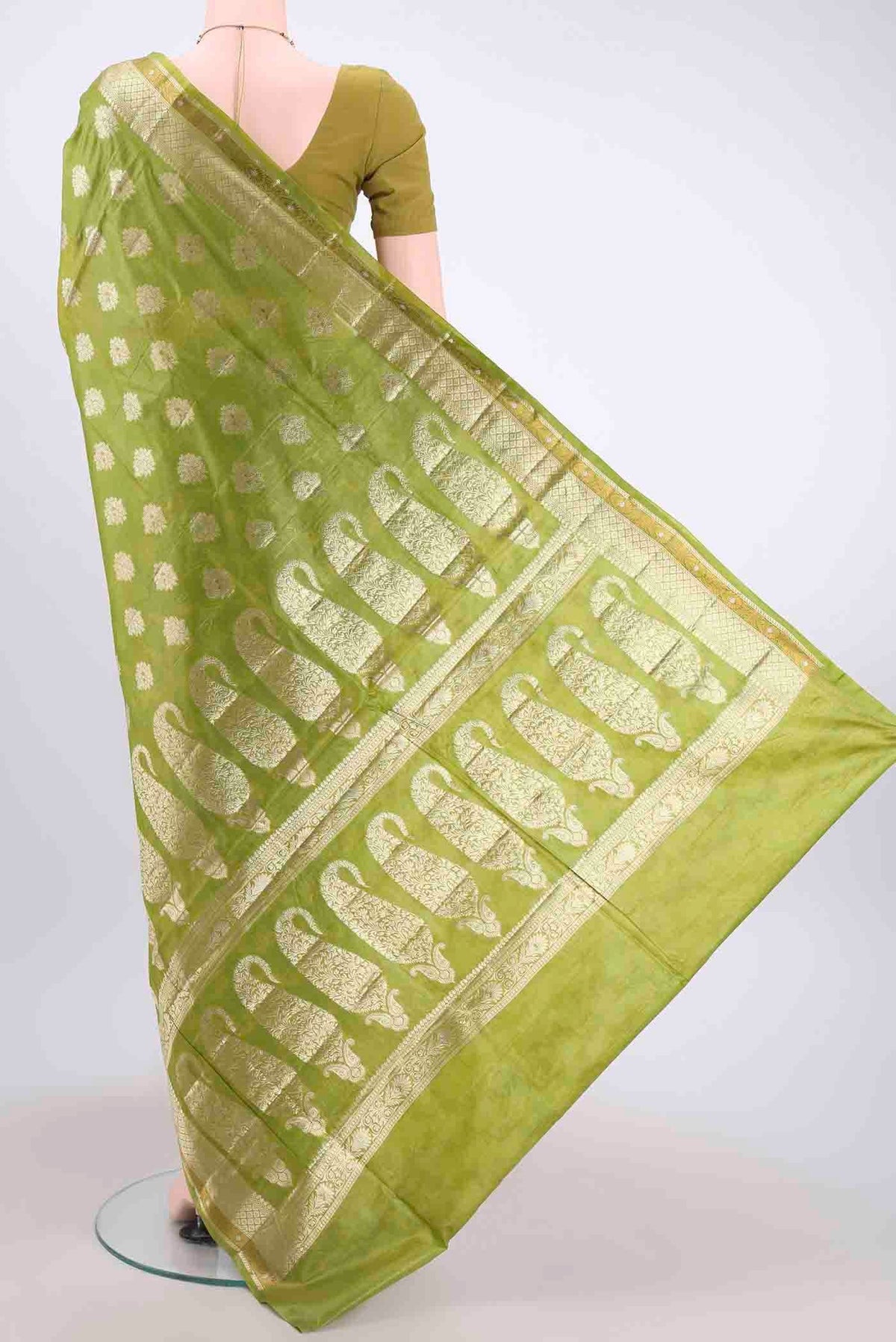 pallu body