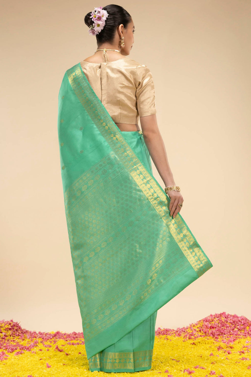 pallu body