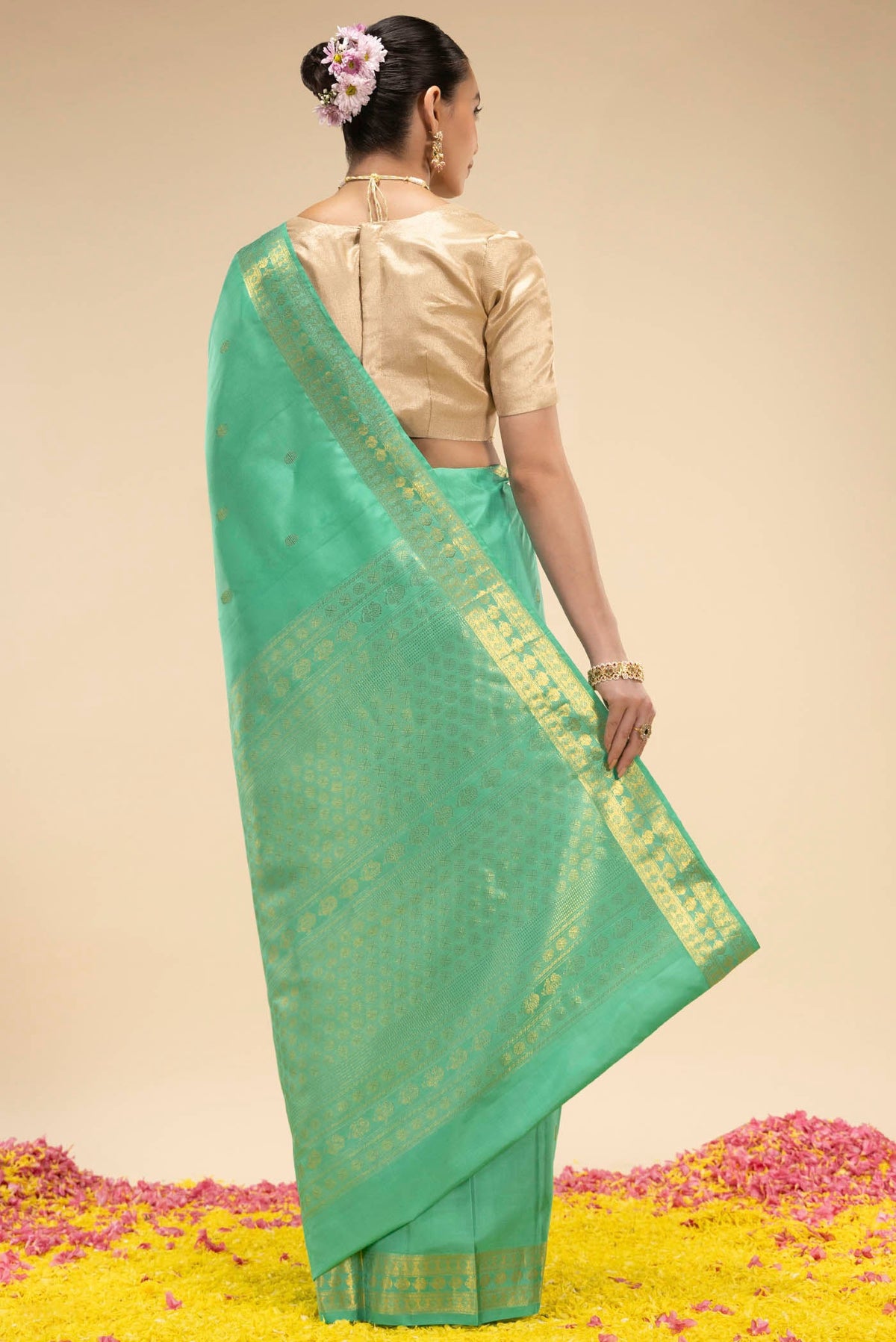 pallu body