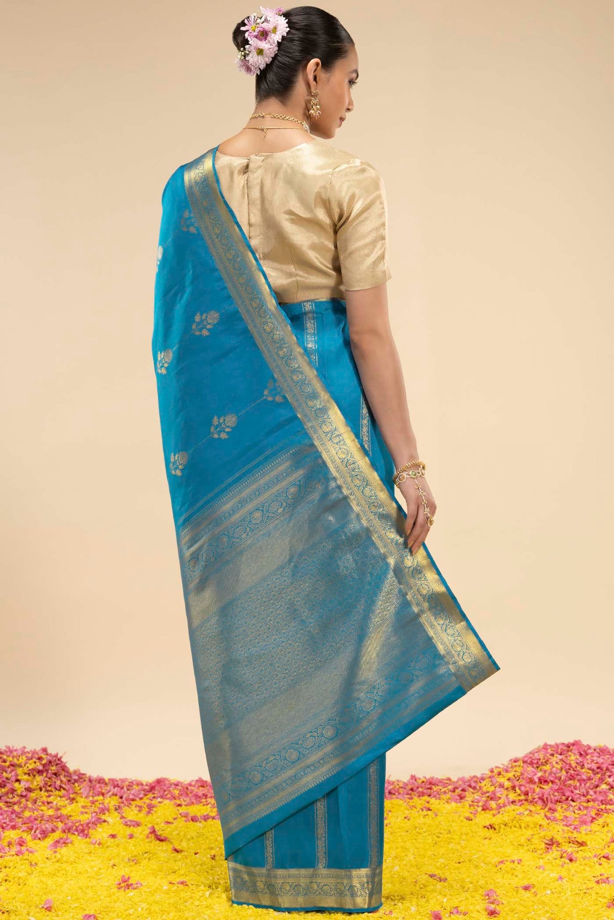 pallu body