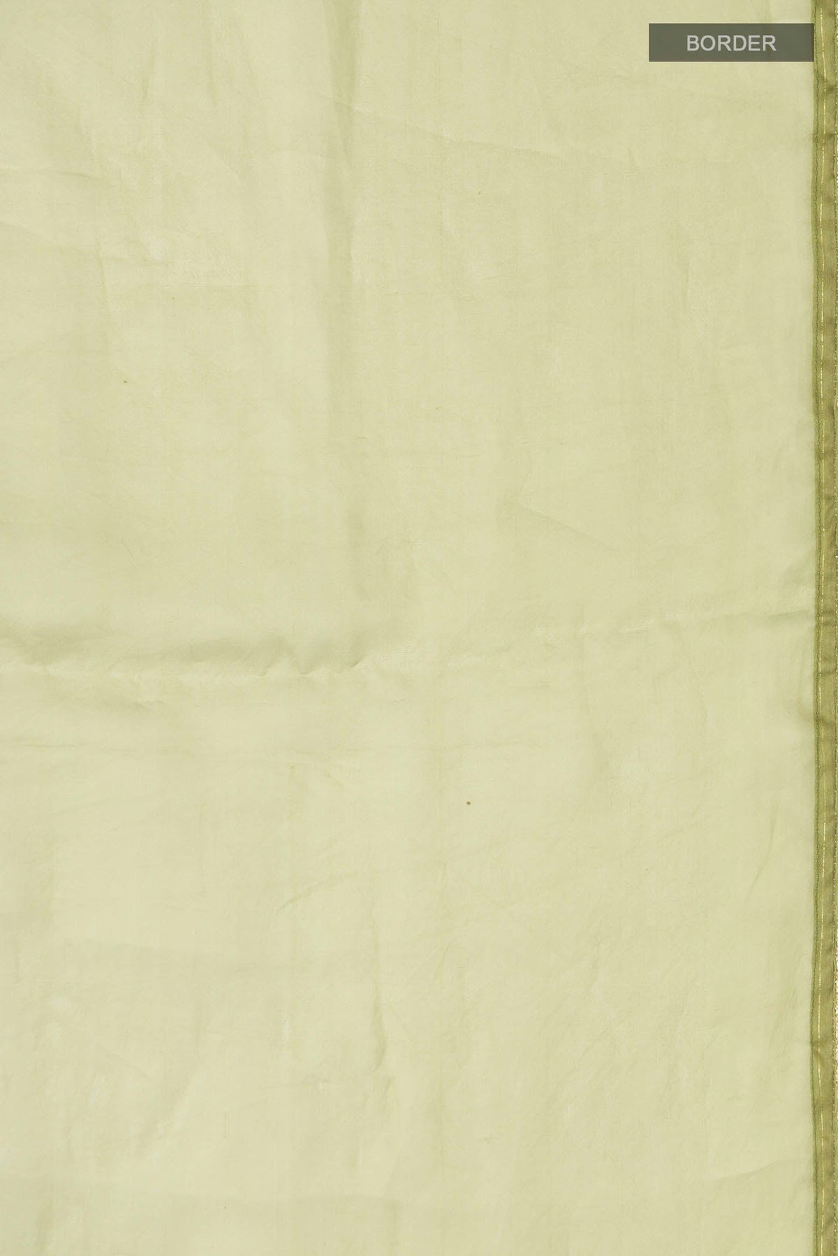 Border image of Green Organza Silk Saree with Plain Body and Embroidery Border