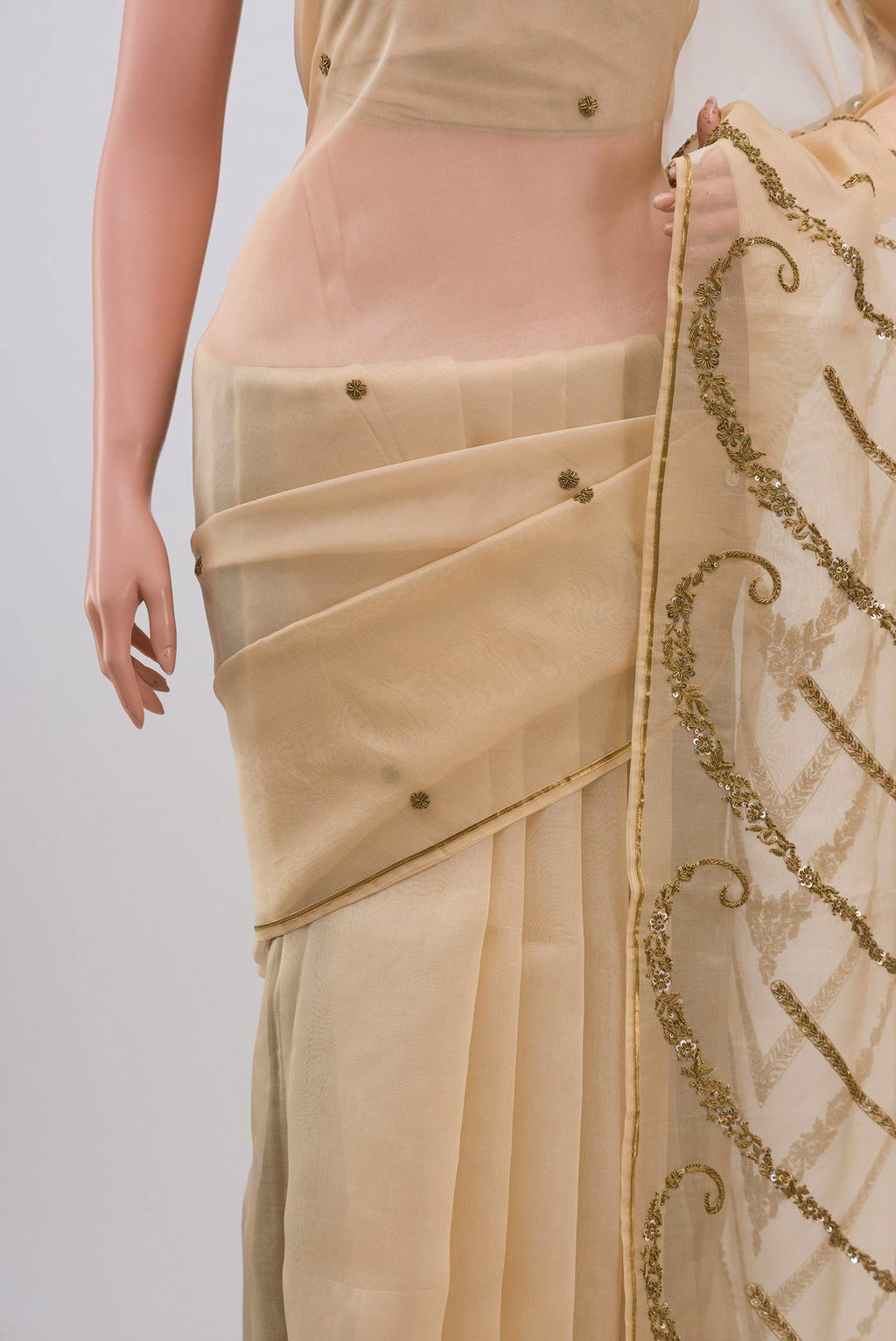 Border image of Beige Organza Silk Saree with Embroidery on the body and Embroidery Border