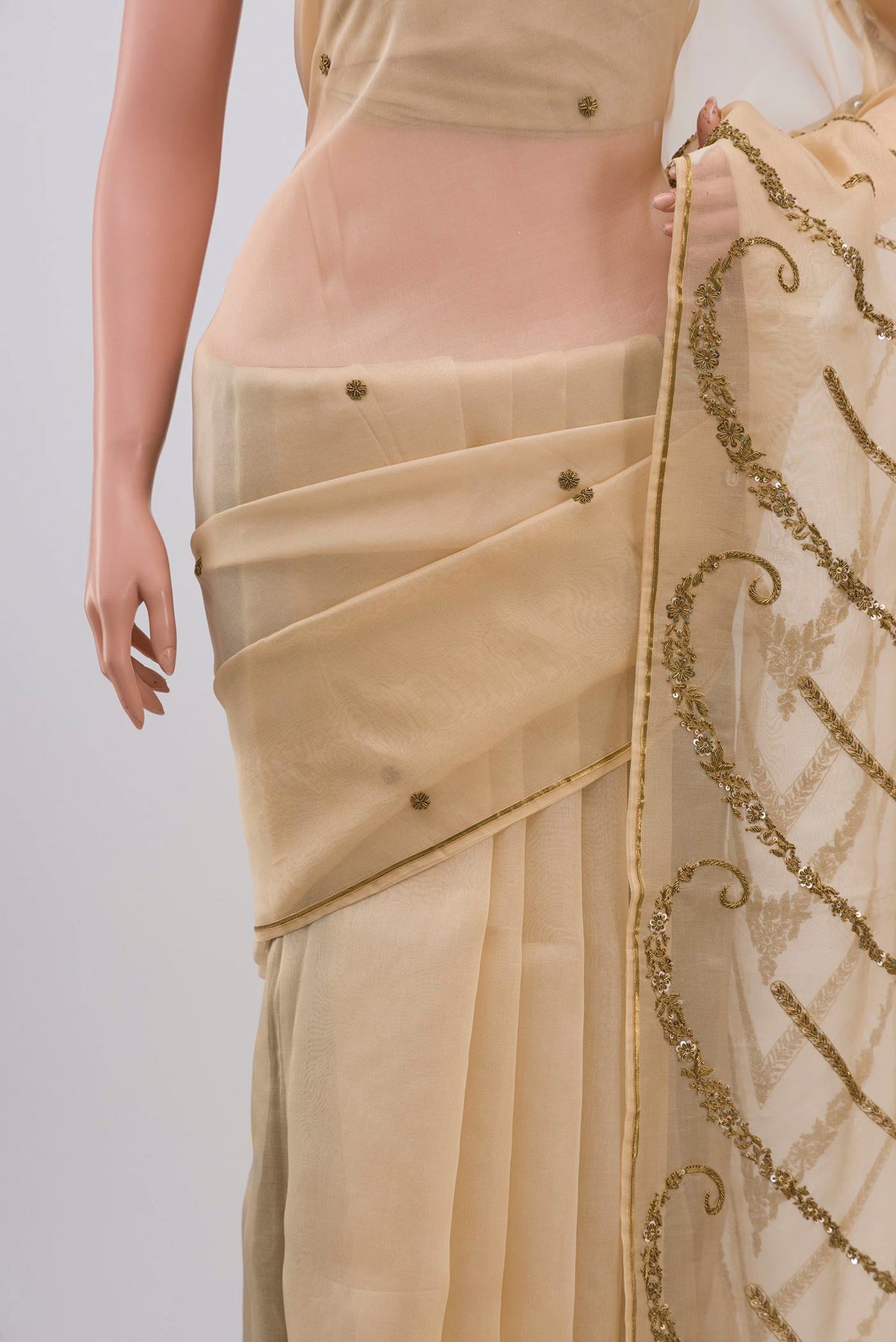 Border image of Beige Organza Silk Saree with Embroidery on the body and Embroidery Border