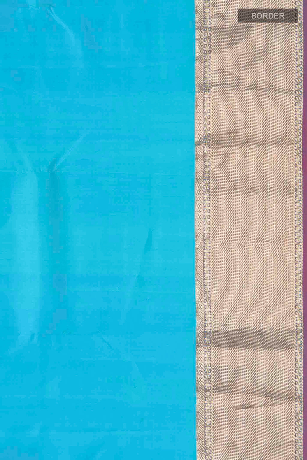 Border image of Blue Kanchipuram Silk Saree with Plain Body and Zari Border