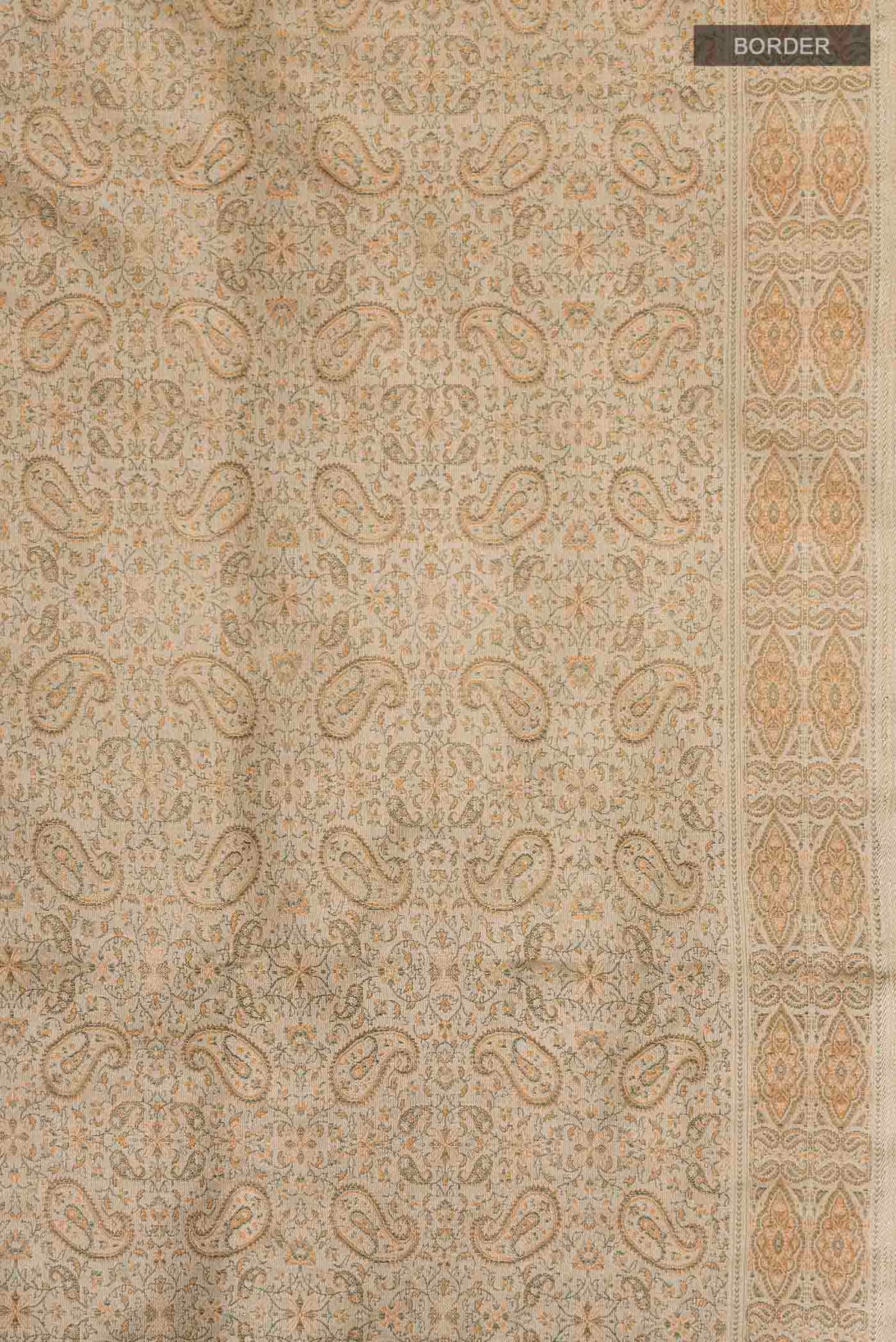 Border image of Beige Banarasi Tanchoi Silk Saree with Jacquard design on the body and Thread Border