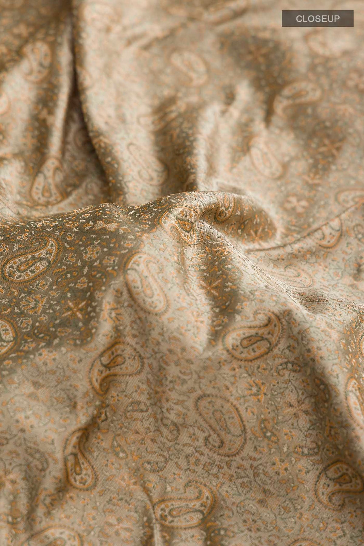 Close up of Beige Banarasi Tanchoi Silk Saree with Jacquard design on the body and Thread Border displaying folds