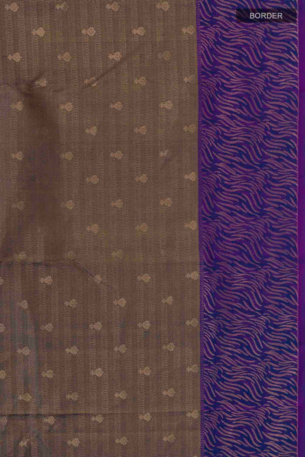 Border image of Grey Kanchipuram Silk Saree with Zari Butta on the body and Zari Border