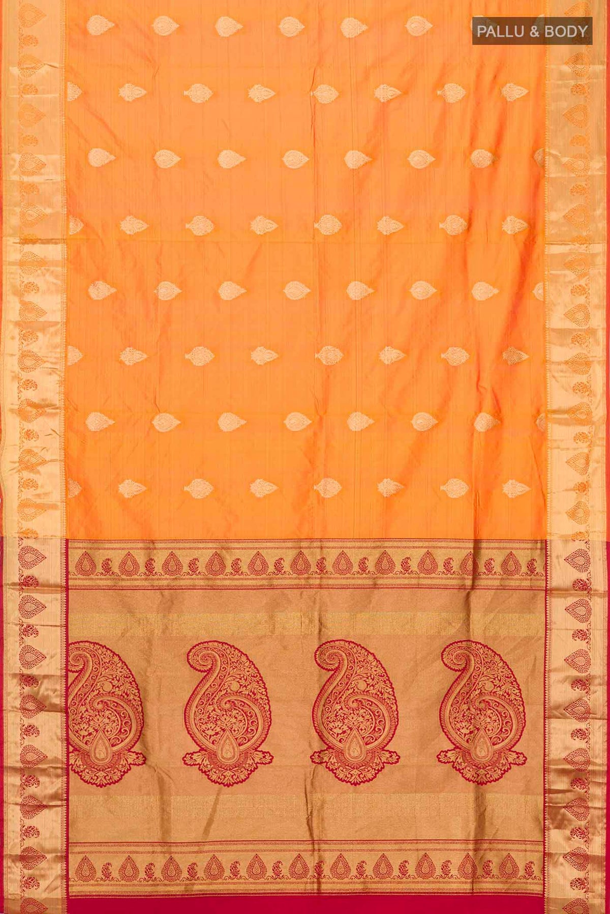 pallu body