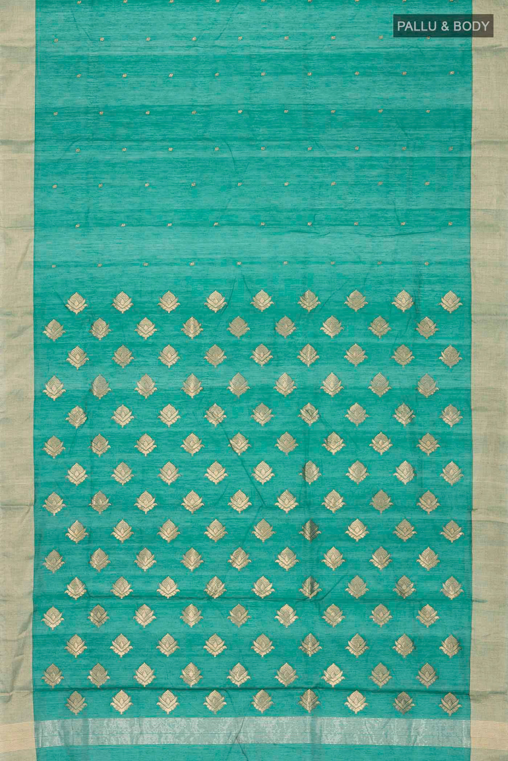 pallu body