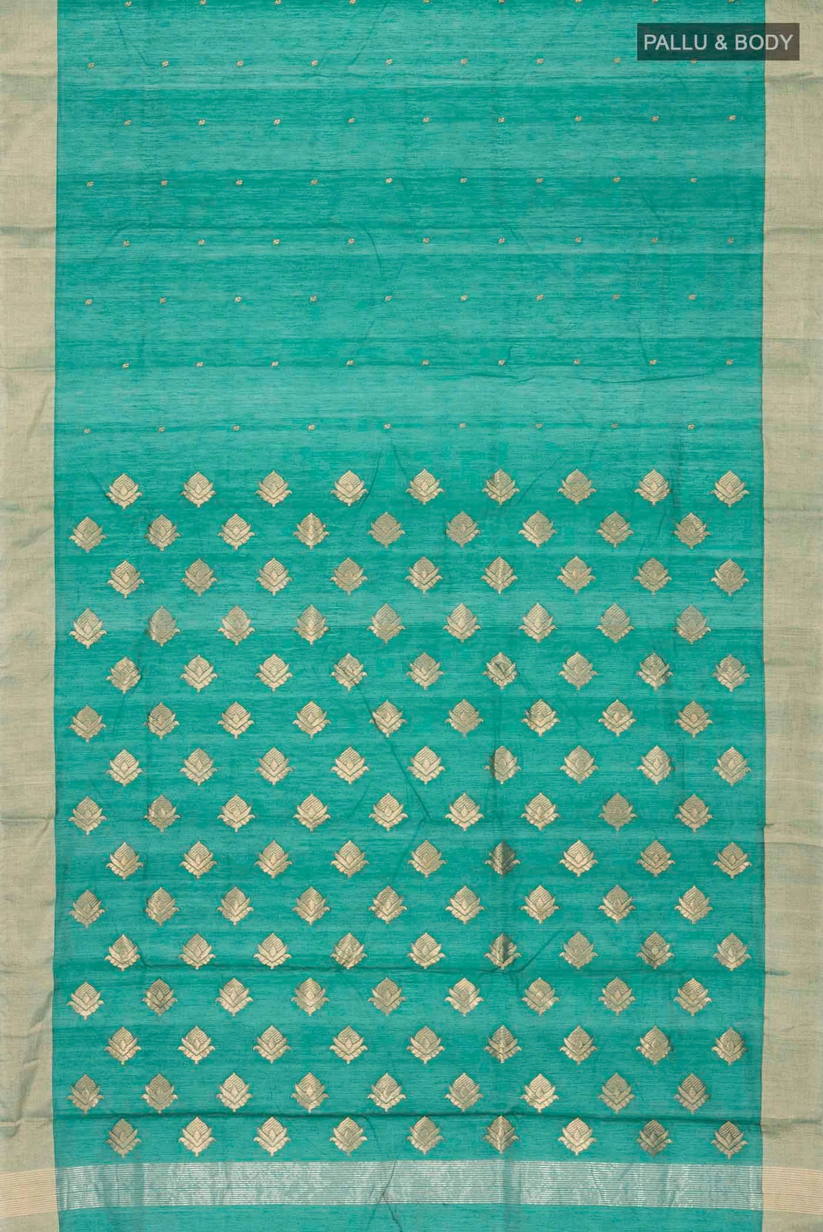 pallu body