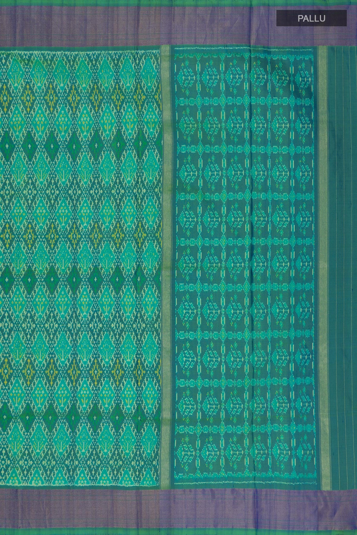 Close up image of the pallu of Light Green Pochampally Silk Saree with Ikat Print on the body and Zari Border. 