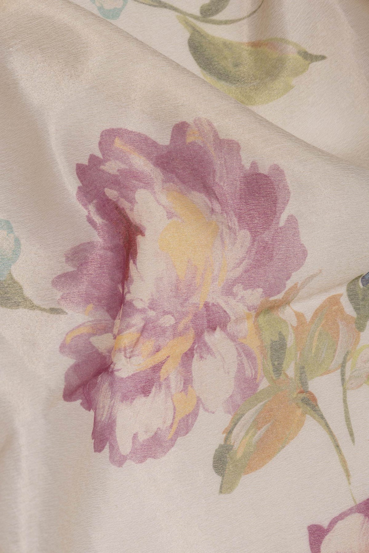 Close up of Beige Dual Tone Organza Silk Saree with Printed design on the body and Zari Border.  displaying folds