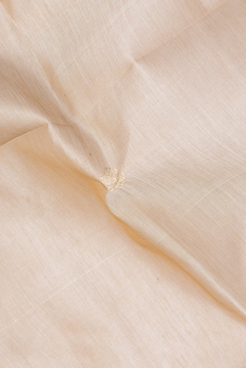 Close up of Beige Dual Tone Silk Cotton Saree with Zari Butta on the body and Zari Border.  displaying folds