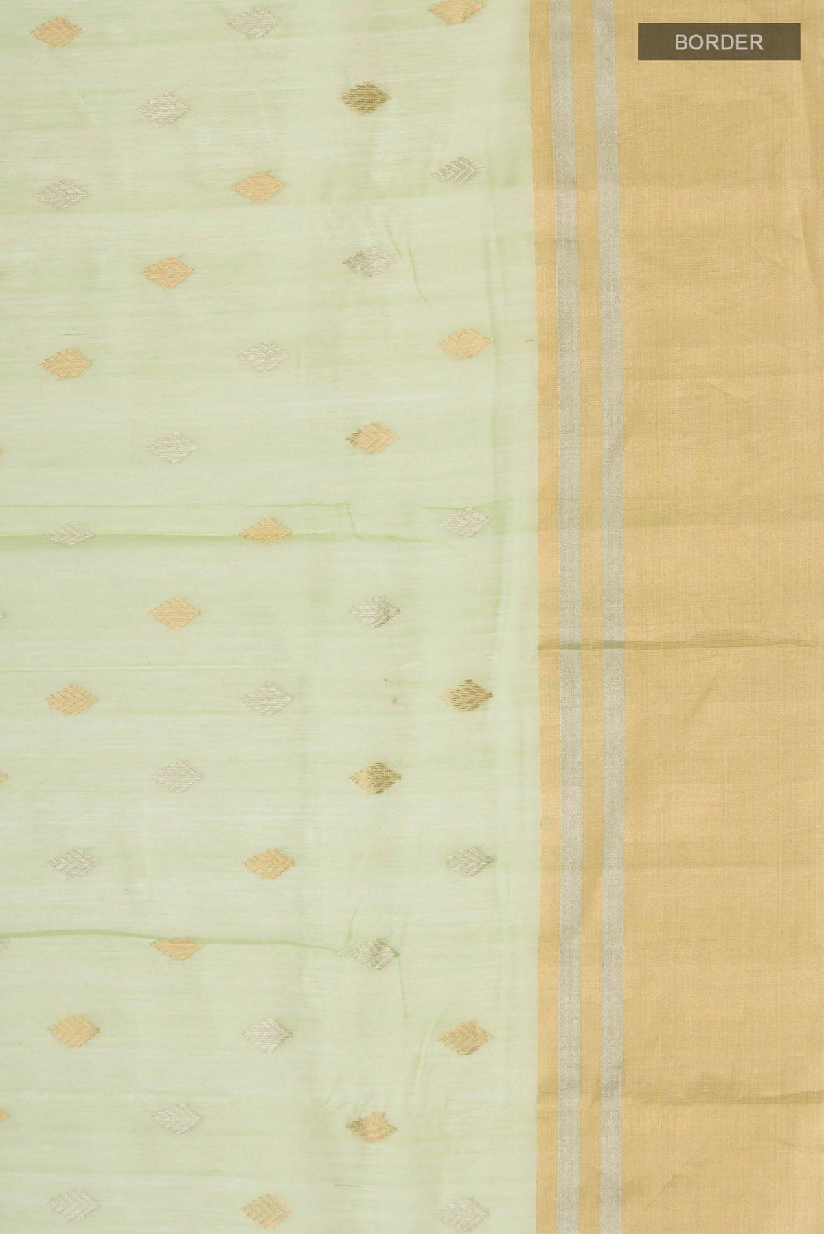 Border image of Green Chanderi Silk Cotton Saree with Zari Butta on the body and Zari Border