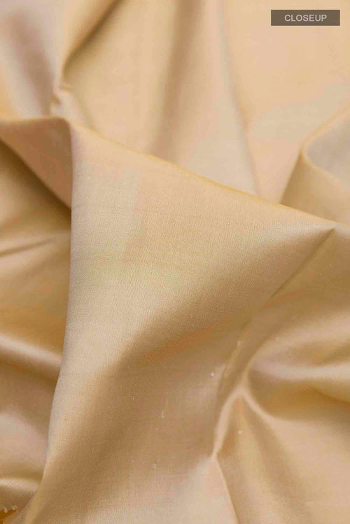 Close up of Beige Kanchipuram Silk Saree with Plain Body and Rising Temple Border displaying folds
