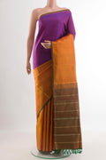 Multi Color Kanchipuram Silk Saree with Half And Half on the body and Without Border.  displayed on a mannequin