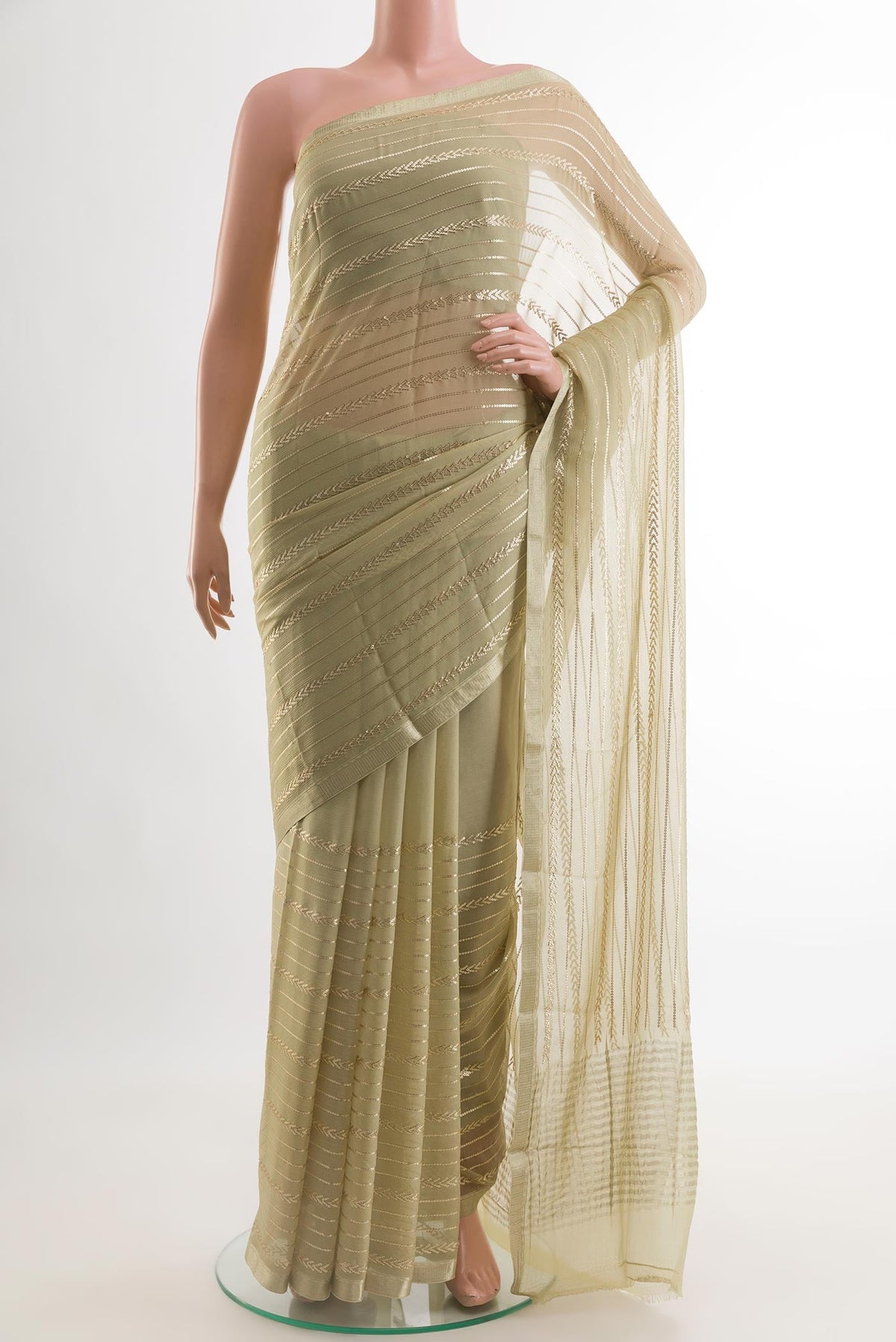 Beige Mysore Chiffon Saree with Embroidery on the body and Embroidery Border.  displayed on a mannequin