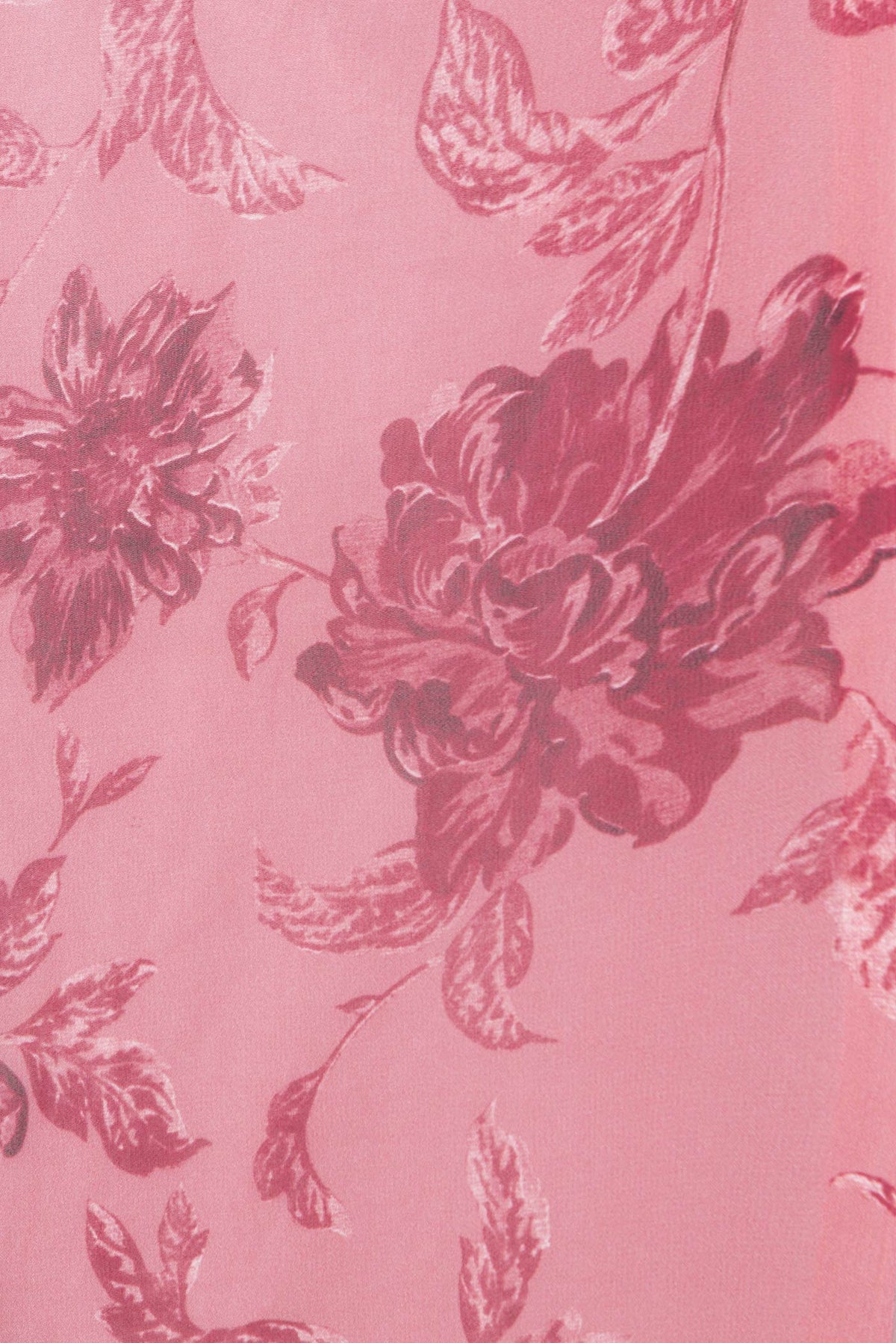 Border image of Pink Dual Tone Mysore Georgette Saree with Printed design on the body and Without Border. 