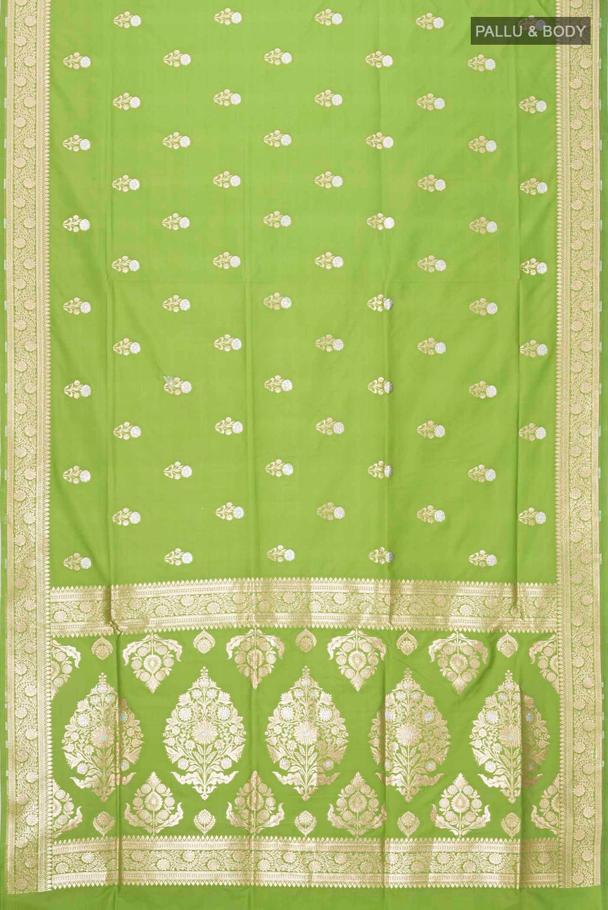pallu body