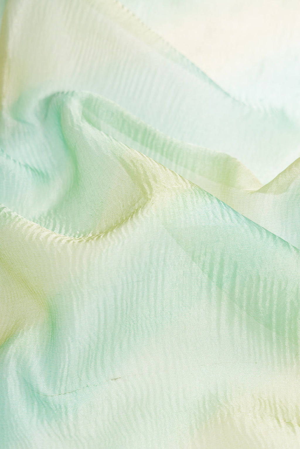 Close up of Pista Green Dual Tone Organza Silk Saree with Stripes on the body and Embroidery Border.  displaying folds