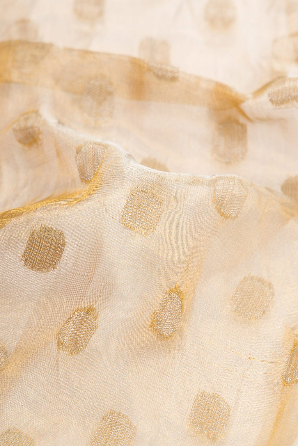Close up of Gold Dual Tone Organza Silk Saree with Zari Butta on the body and Embroidery Border.  displaying folds