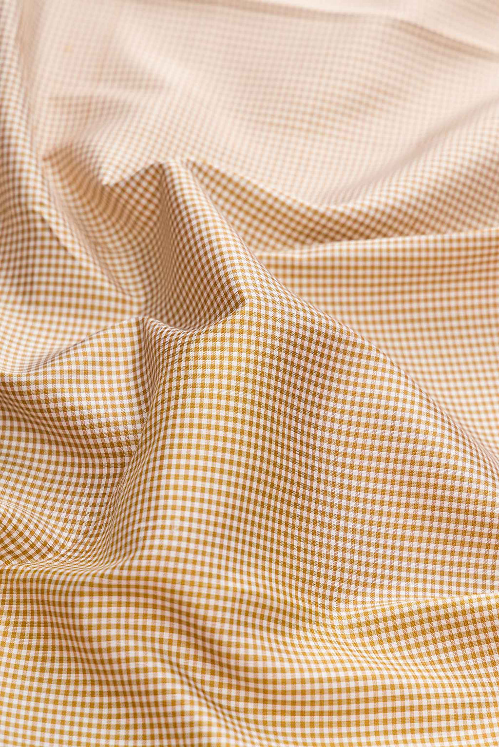 Close up of Beige Dual Tone Kanchipuram Silk Saree with Checked design on the body and Zari Border displaying folds