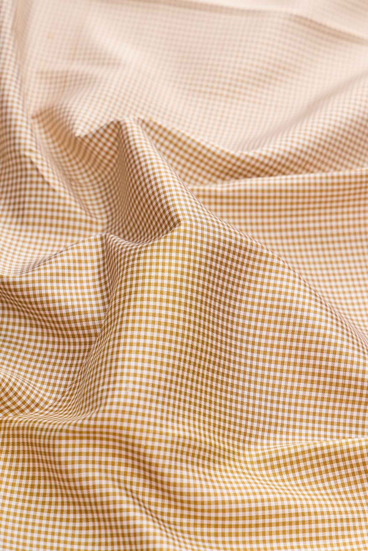 Close up of Beige Dual Tone Kanchipuram Silk Saree with Checked design on the body and Zari Border displaying folds