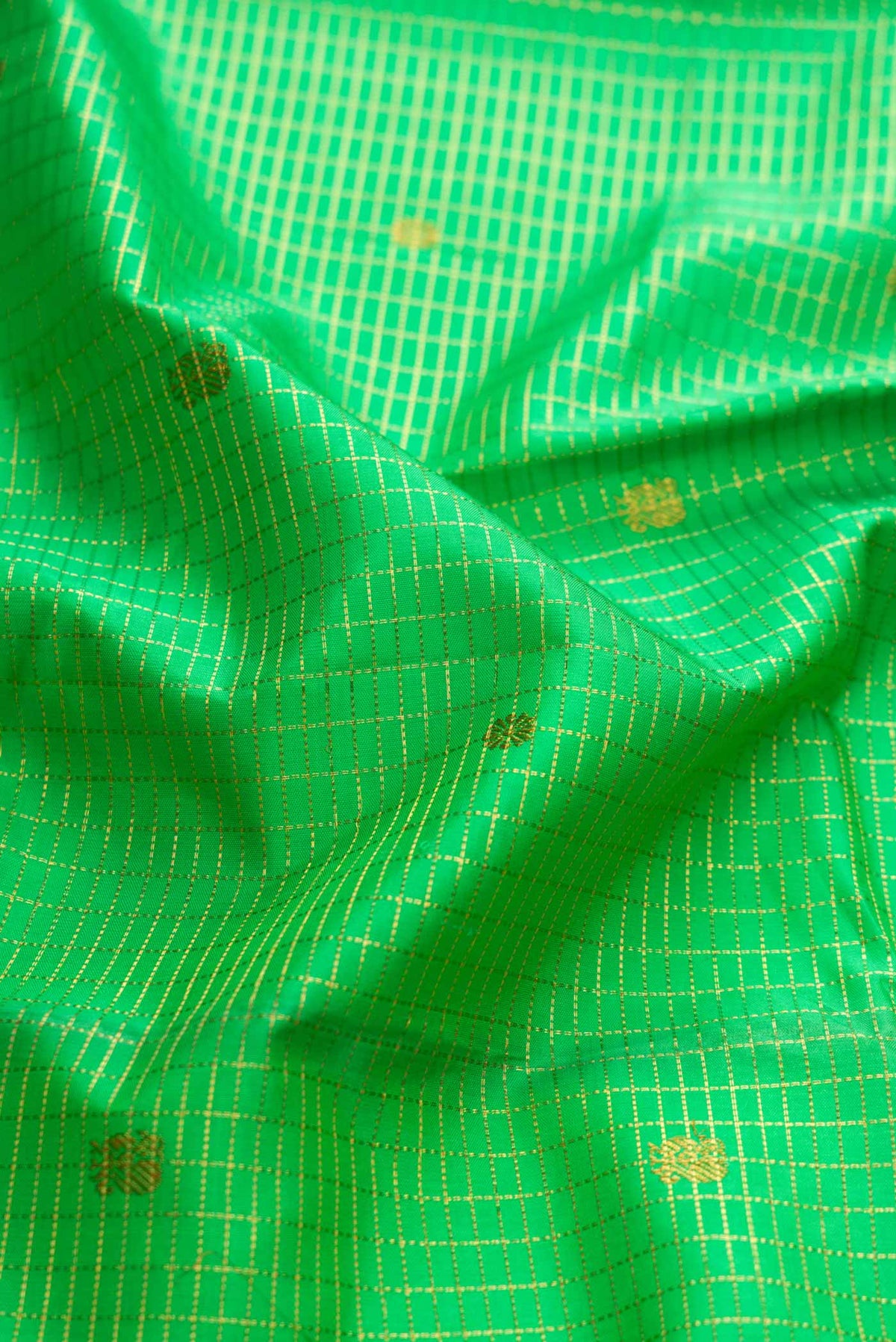 Close up of Parrot Green Dual Tone Kanchipuram Silk Saree with Checked design on the body and Zari Border displaying folds
