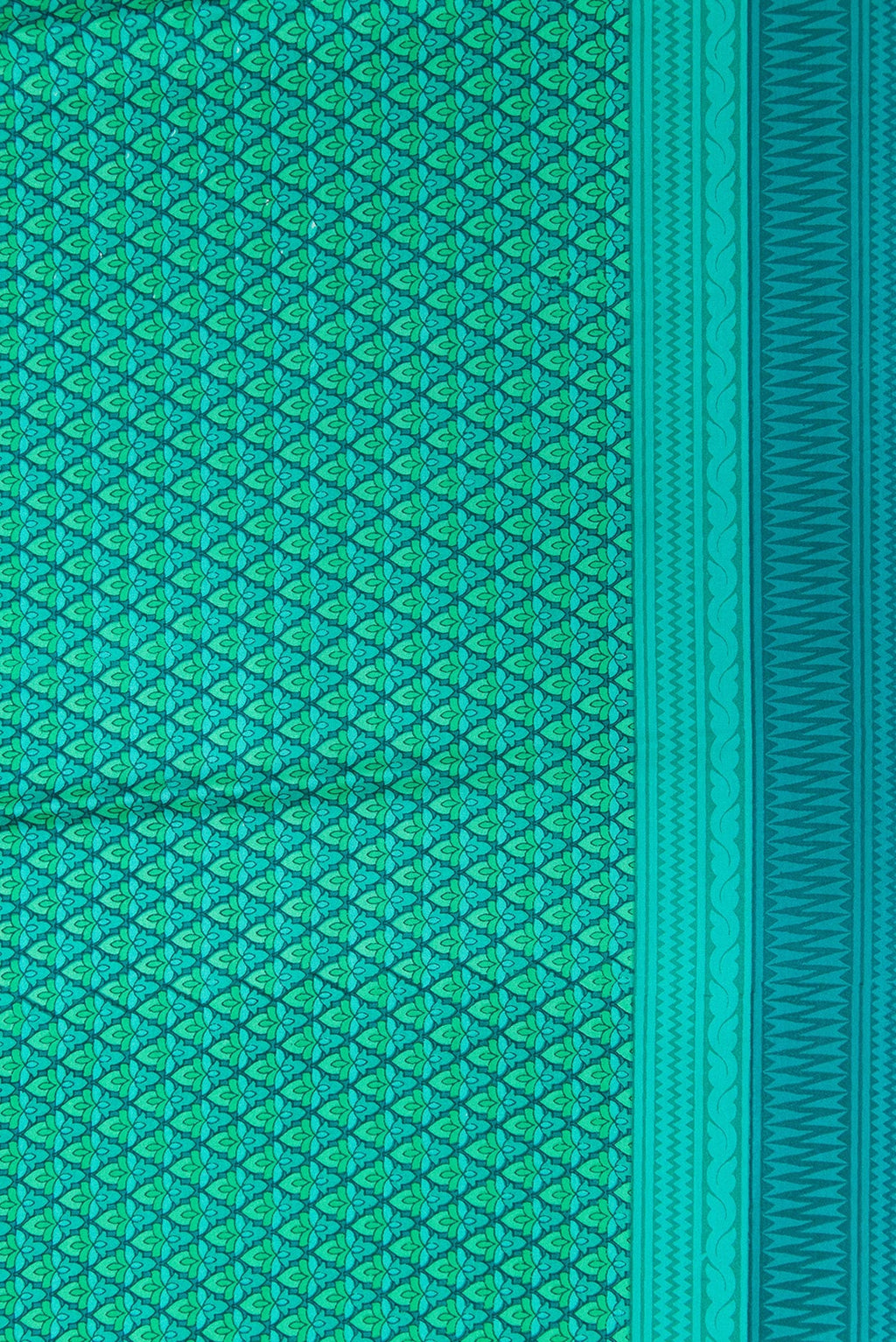 Border image of Green Dual Tone Printed Silk Saree with Printed design on the body and Printed Border. 