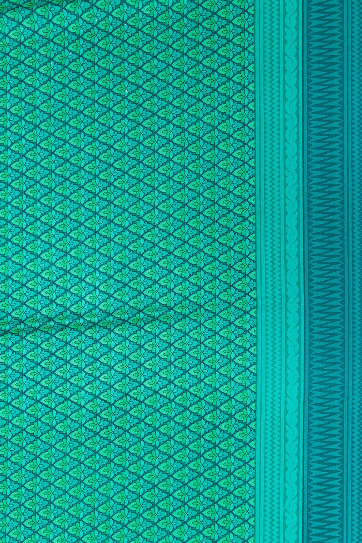 Border image of Green Dual Tone Printed Silk Saree with Printed design on the body and Printed Border. 