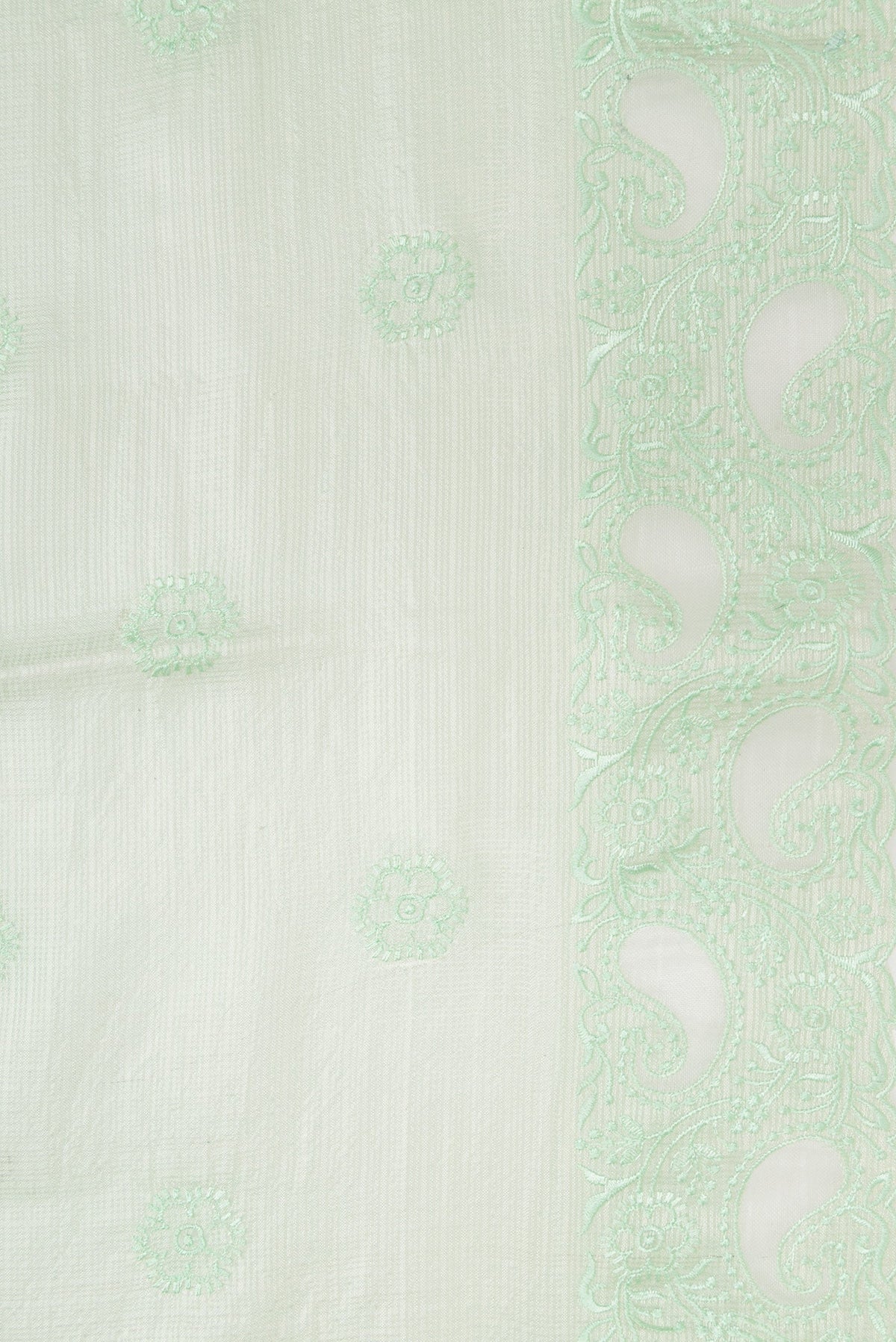 Border image of Pista Green Dual Tone Kota Silk Saree with Embroidery on the body and Embroidery Border. 