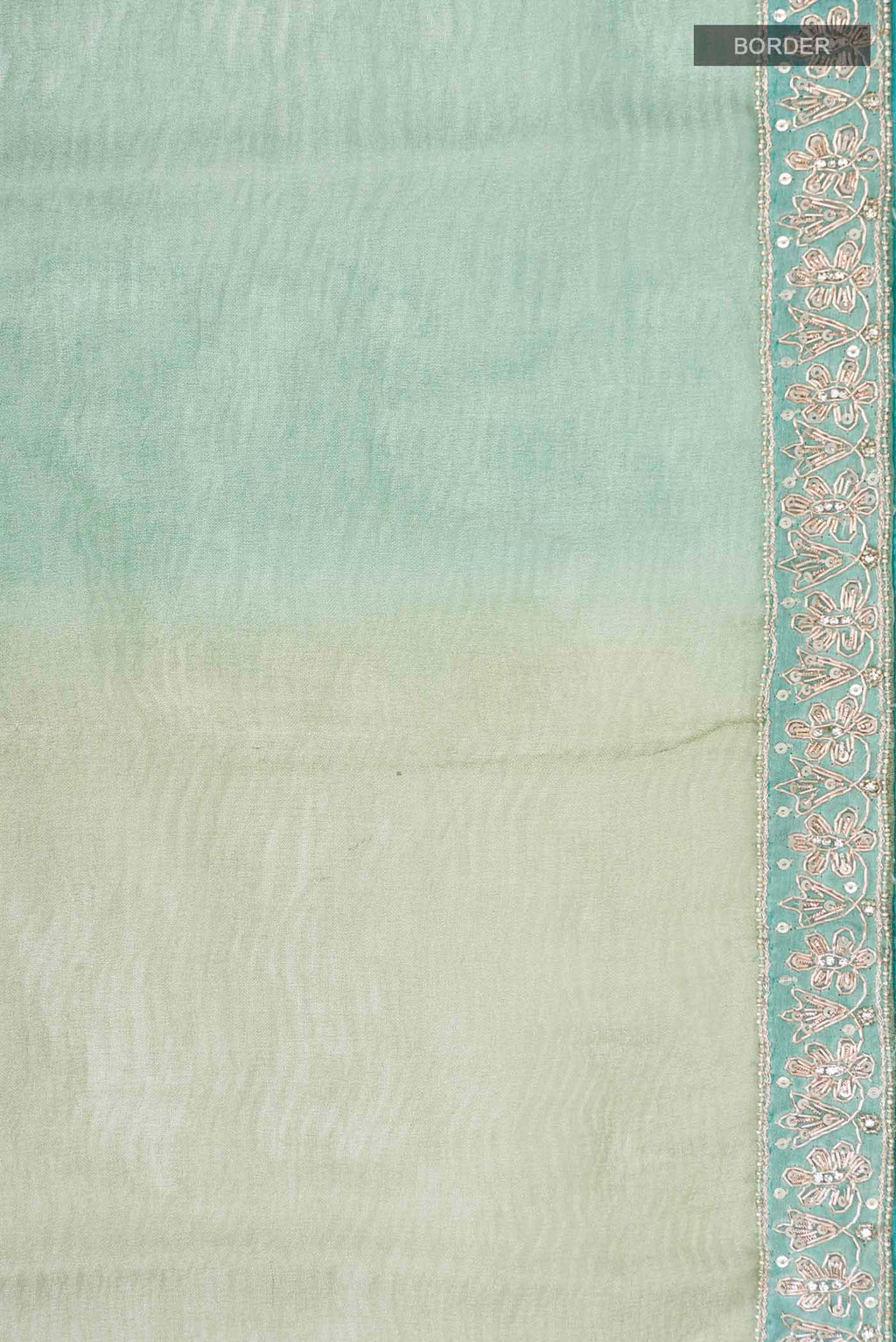 Border image of Multi Tissue Silk Saree with Plain Body and Embroidery Border
