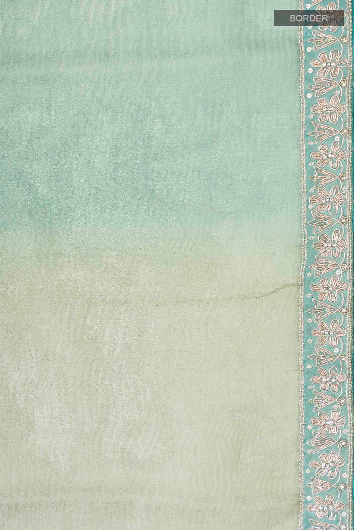 Border image of Multi Tissue Silk Saree with Plain Body and Embroidery Border