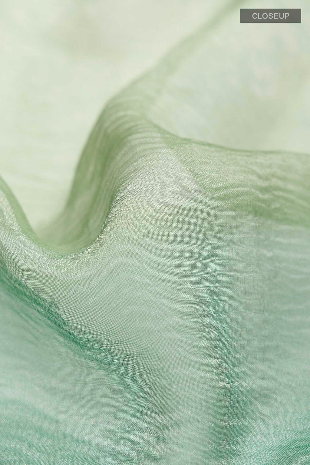 Close up of Multi Tissue Silk Saree with Plain Body and Embroidery Border displaying folds