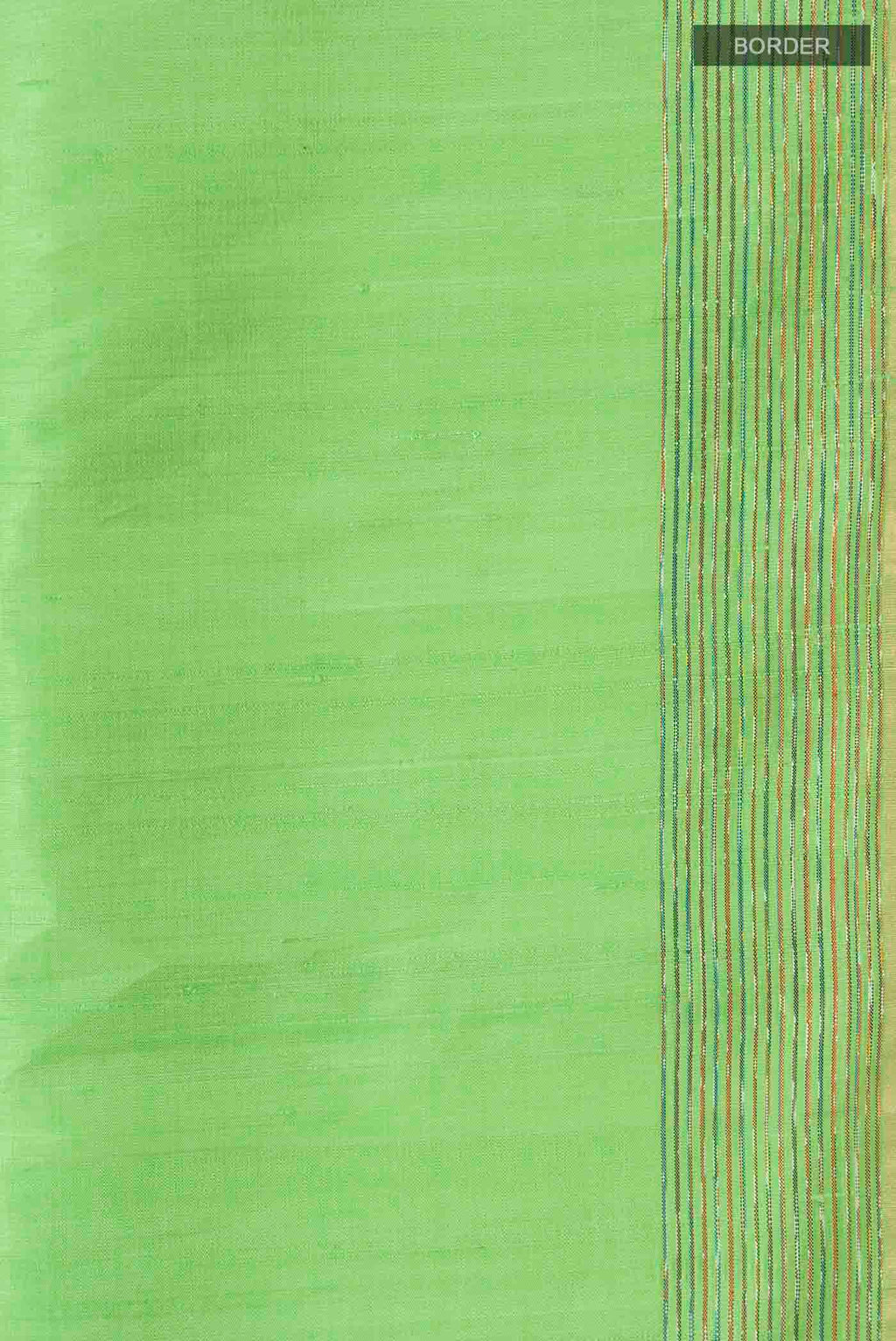 Border image of Pista Green Raw Silk Saree with Plain Body and Thread Border