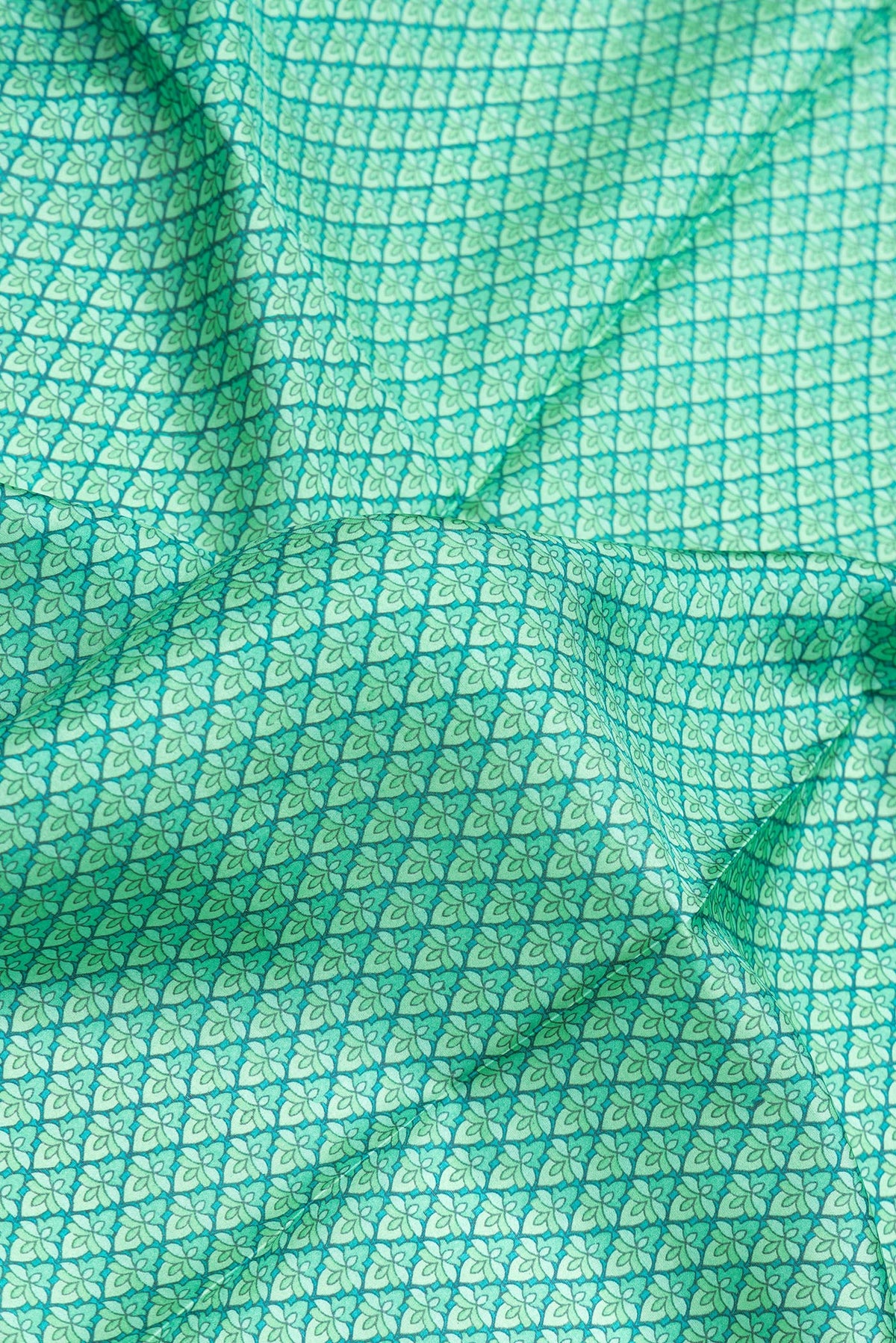 Close up of Sea Green Dual Tone Printed Silk Saree with Printed design on the body and Printed Border.  displaying folds