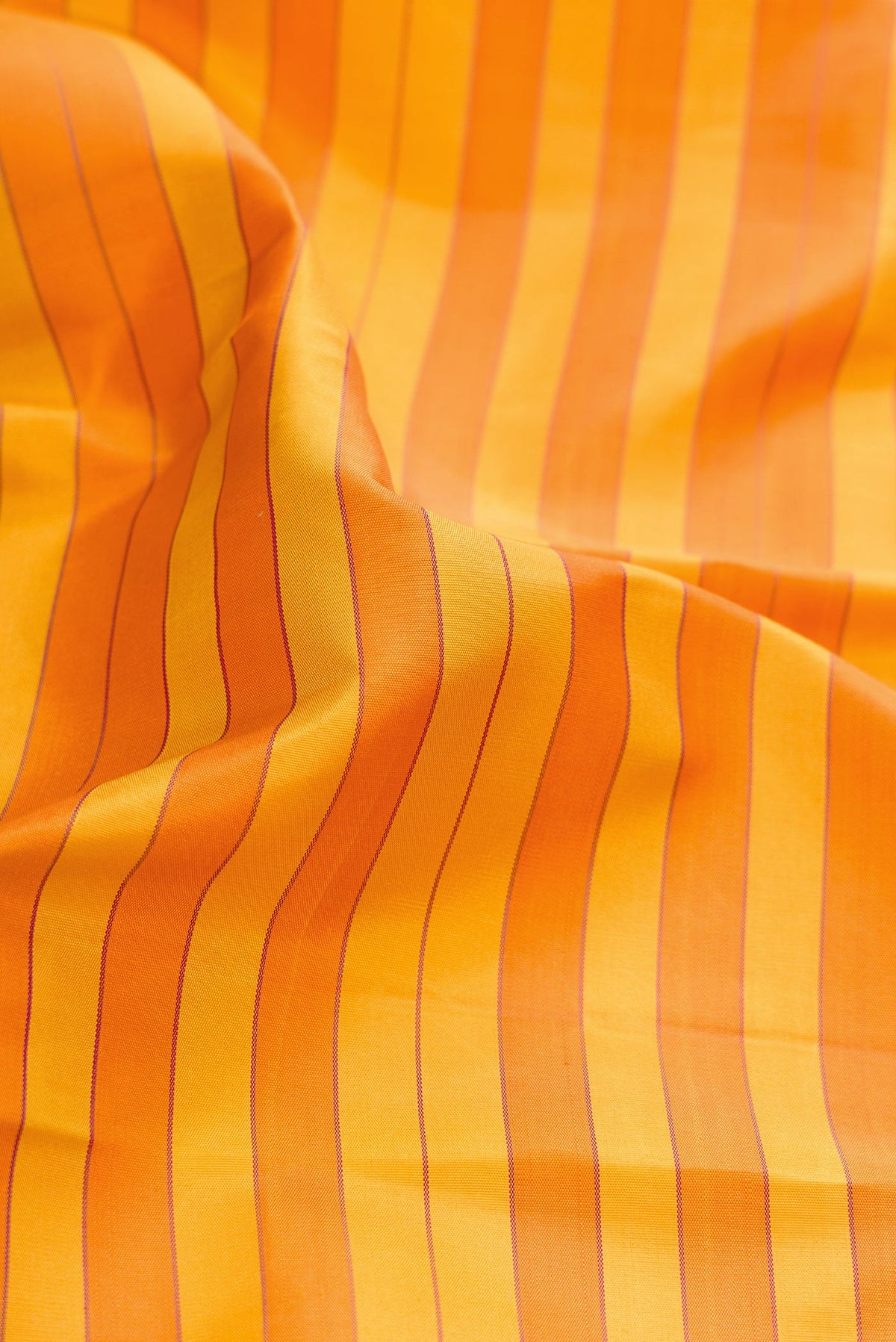 Close up of Mustard and Orange Color Kanjivaram Silk Saree with Stripes on the body and Zari Border.  displaying folds