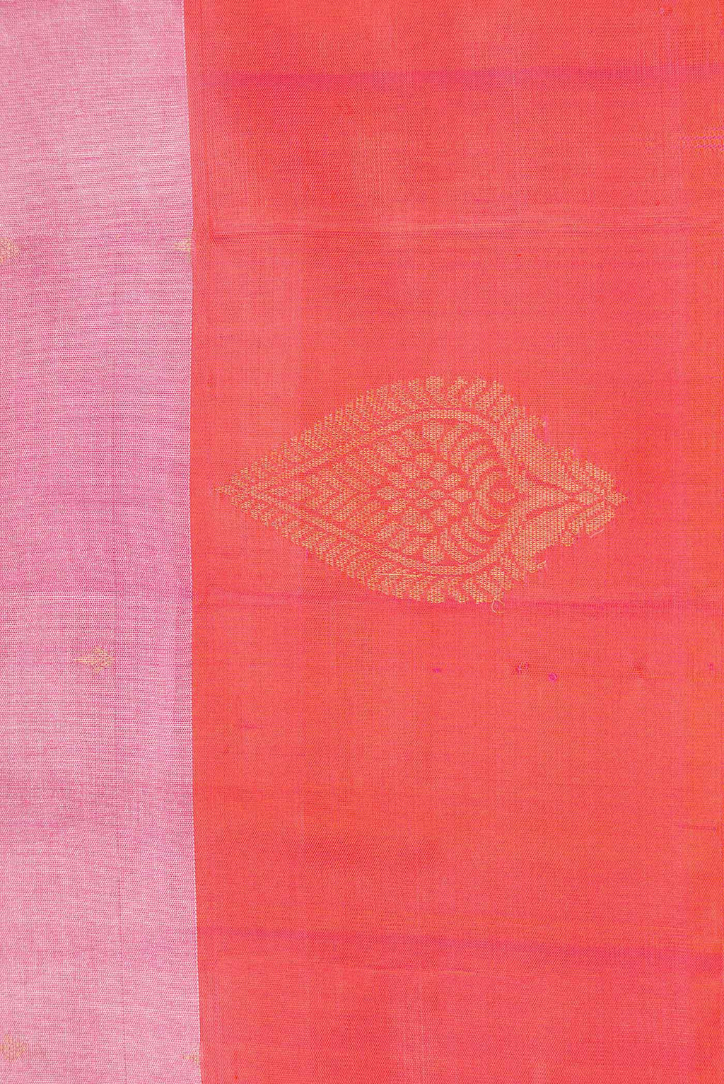 Border image of Pink Dual Tone Kanchipuram Tissue Silk Saree with Zari Brocade on the body and Plain Border