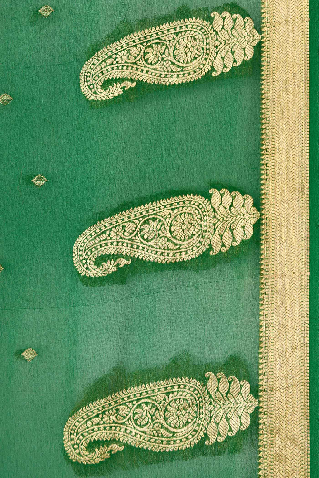 Border image of Green Dual Tone Mysore Georgette Saree with Zari Butta on the body and Zari Border