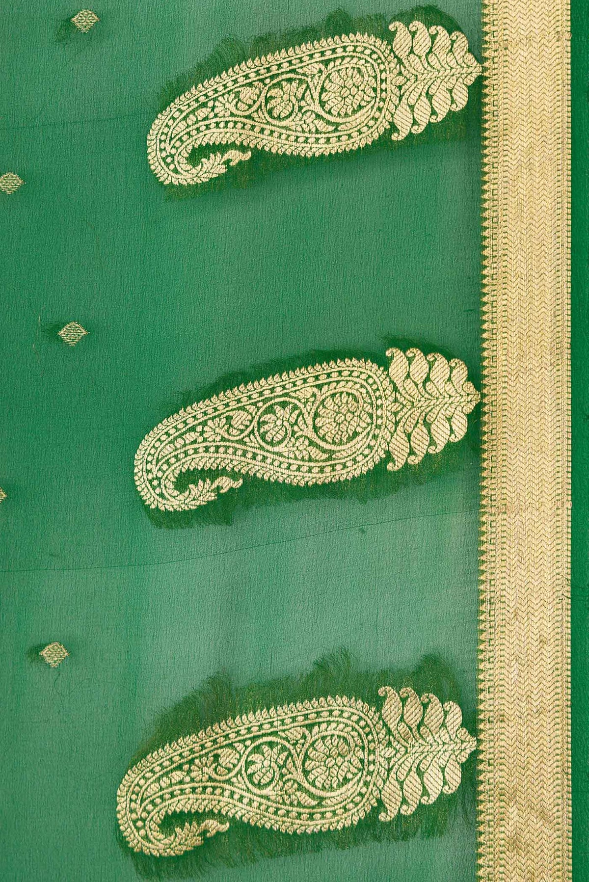 Border image of Green Dual Tone Mysore Georgette Saree with Zari Butta on the body and Zari Border