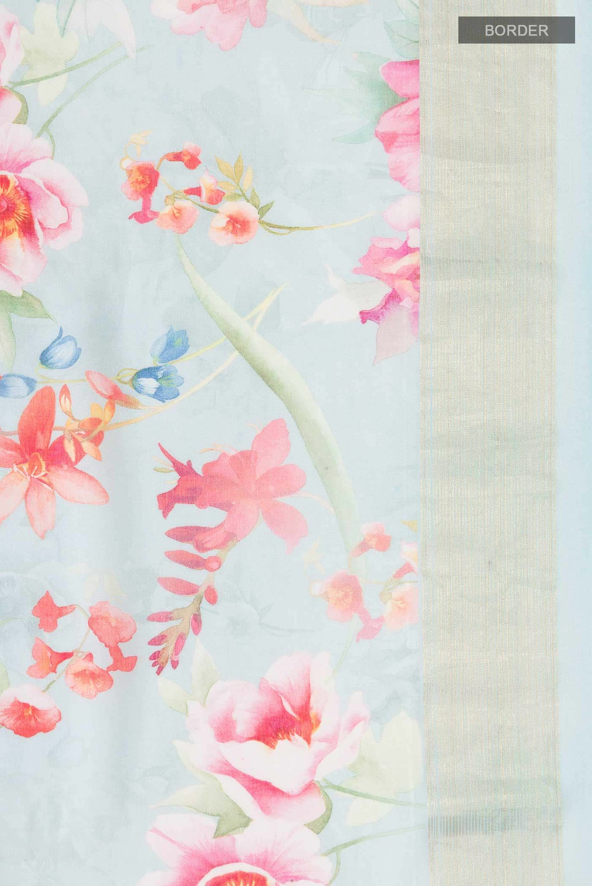 Border image of Blue Paithani Cotton SareePrinted design on the body and Zari Border