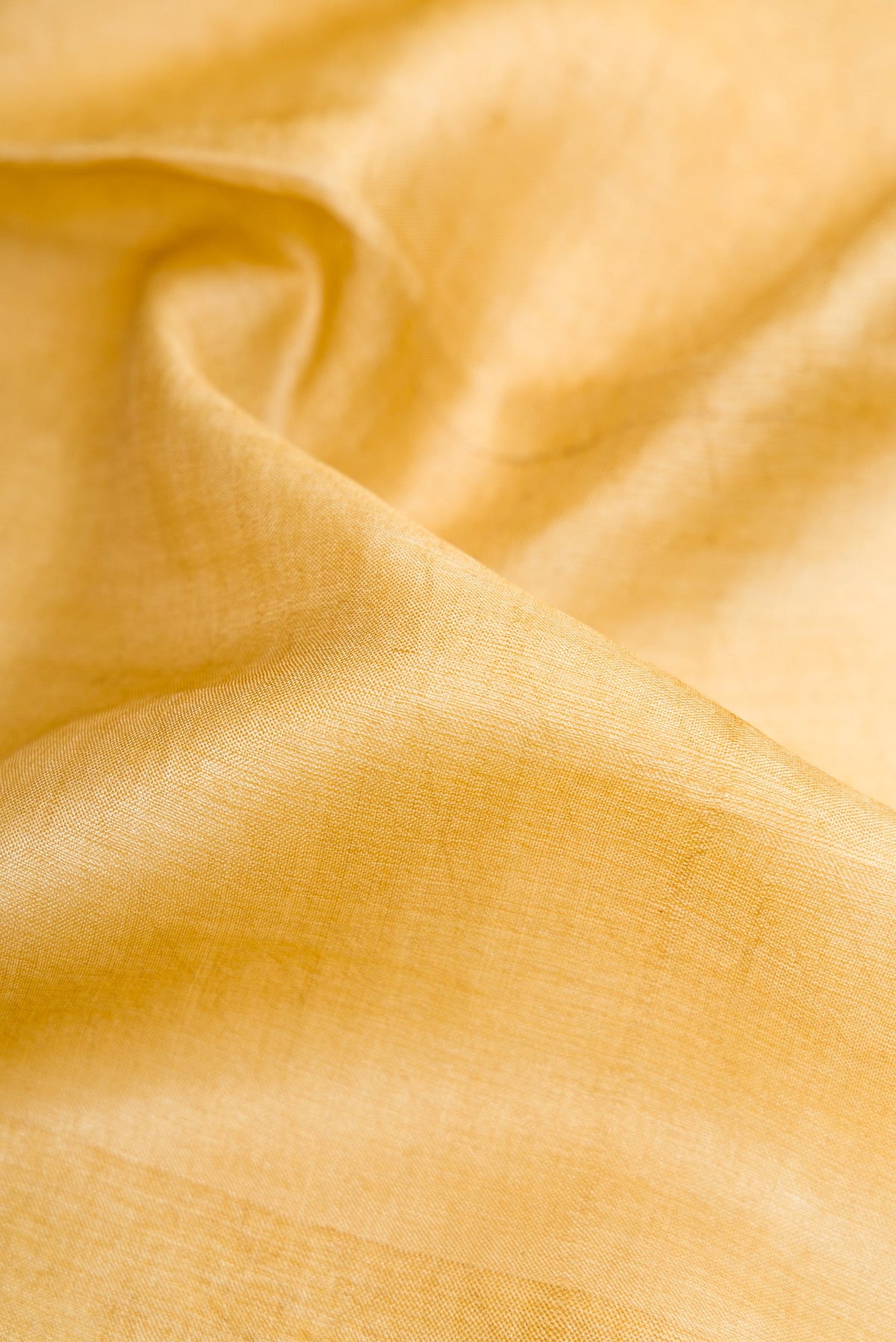Close up of Sandal Tussar Silk Saree with Plain Body and Fancy Border.  displaying folds