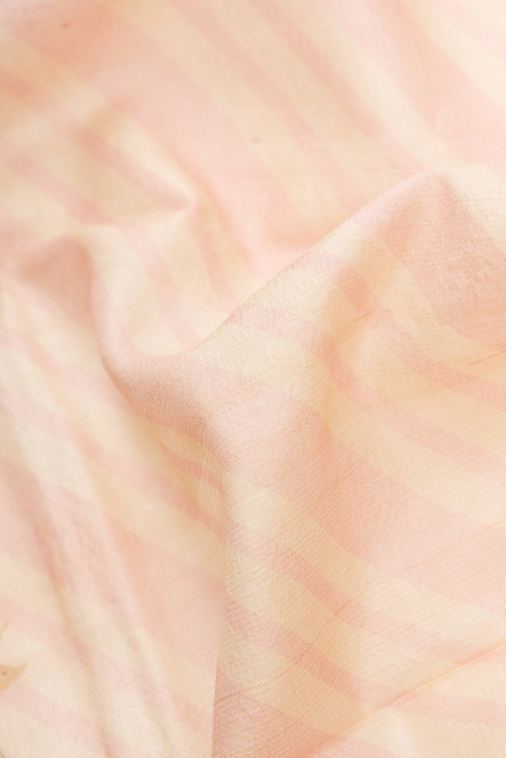 Close up of Beige Dual Tone Tussar Silk Saree with Printed design on the body and Thread Border.  displaying folds