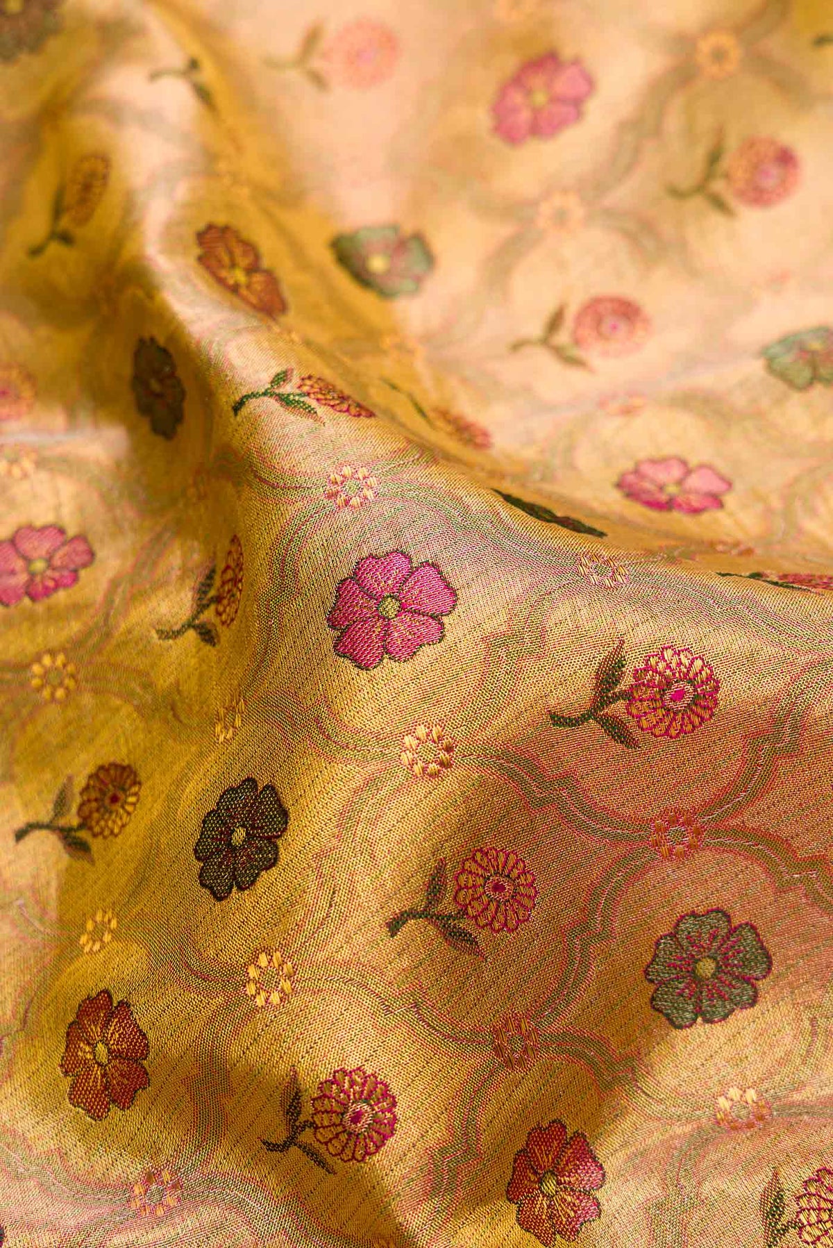 Close up of Gold Dual Tone Kanchipuram Tissue Silk Saree with Zari Brocade on the body and Zari Border.  displaying folds