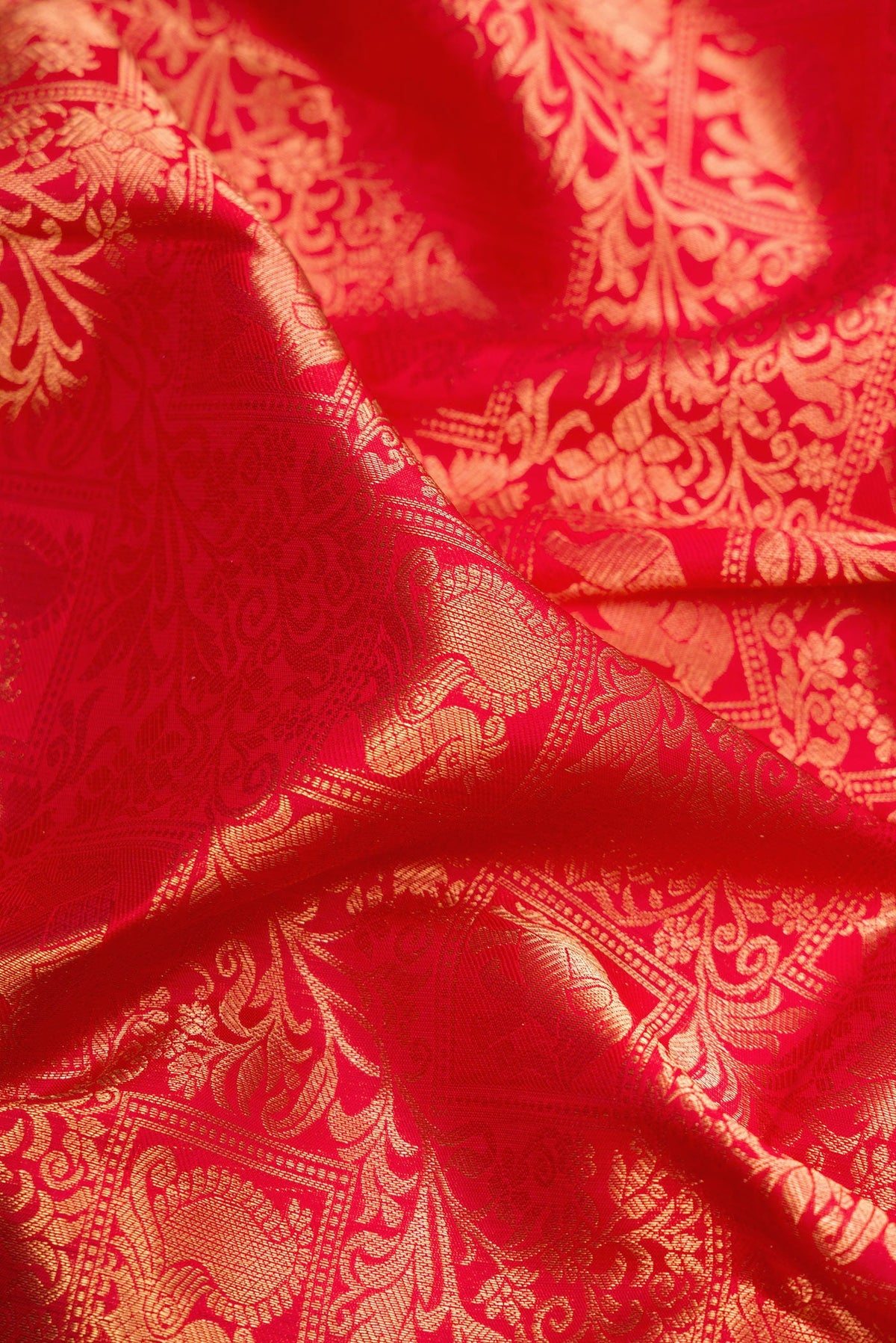 Close up of Red Kanchipuram Silk Saree with Zari Brocade on the body and Zari Border.  displaying folds