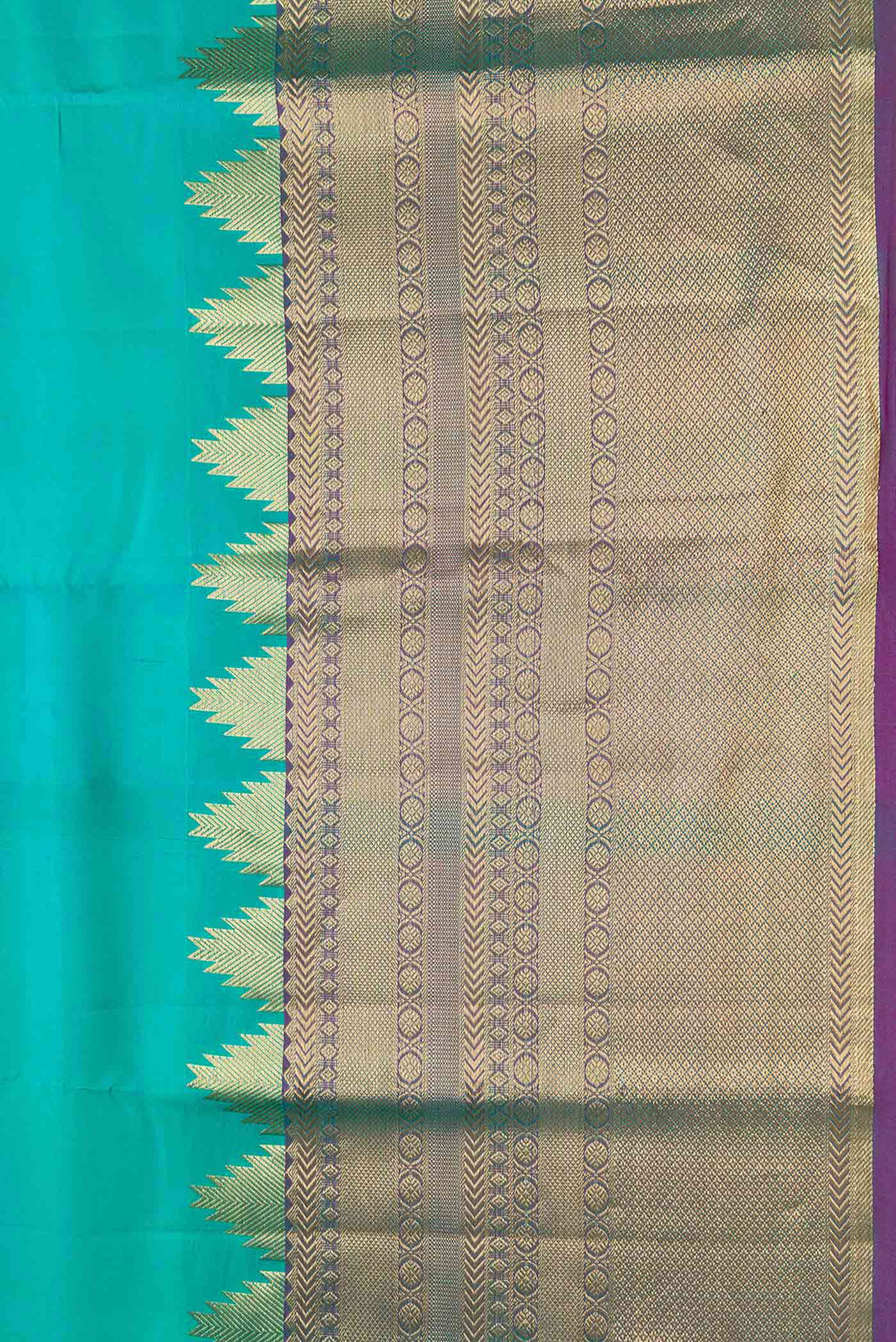 Border image of Sea Green Dual Tone Kanchipuram Silk Saree with Plain Body and Fancy Border