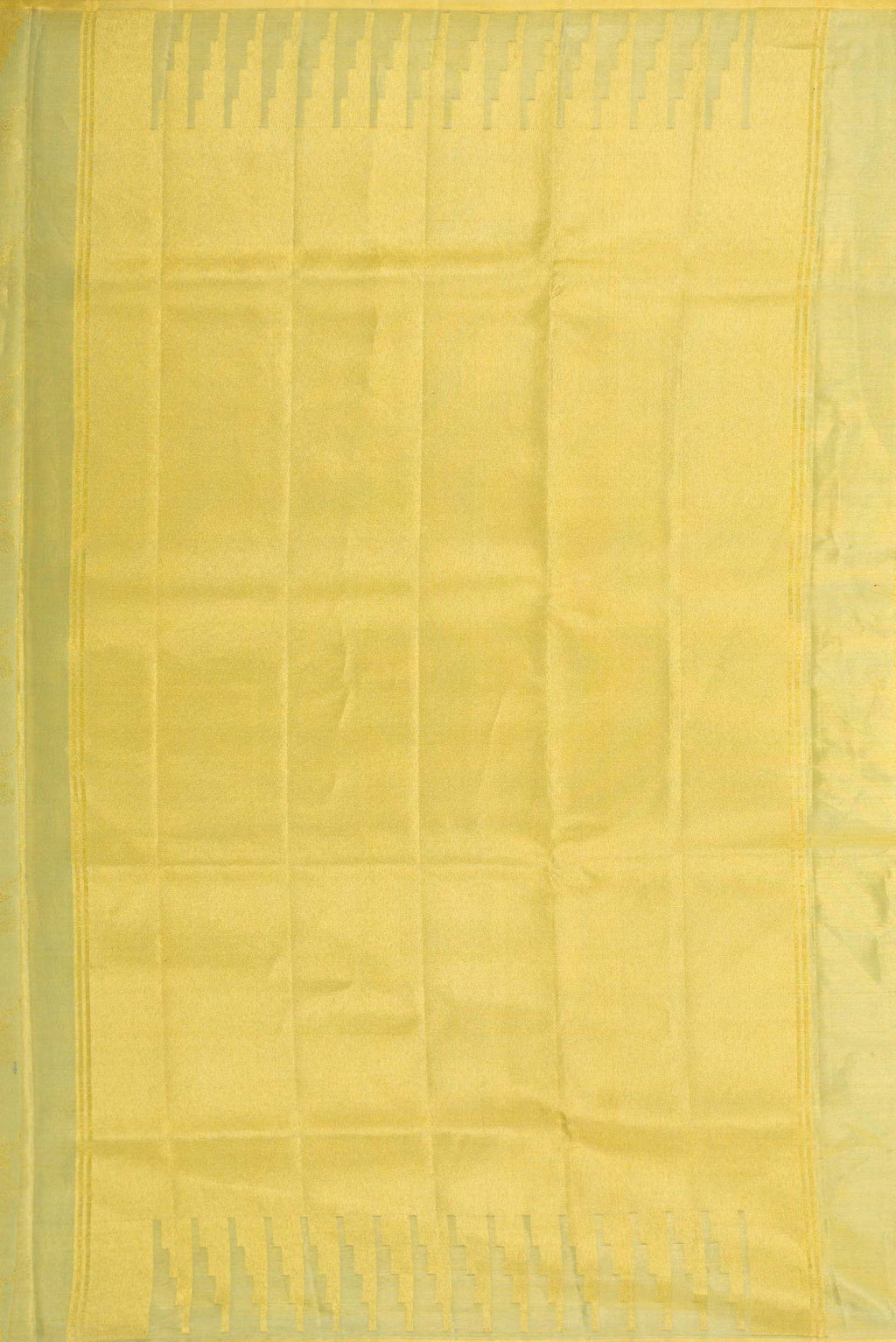 Close up image of the pallu of Light Green Dual Tone Kanchipuram Tissue Silk Saree with Zari Brocade on the body and Zari Border