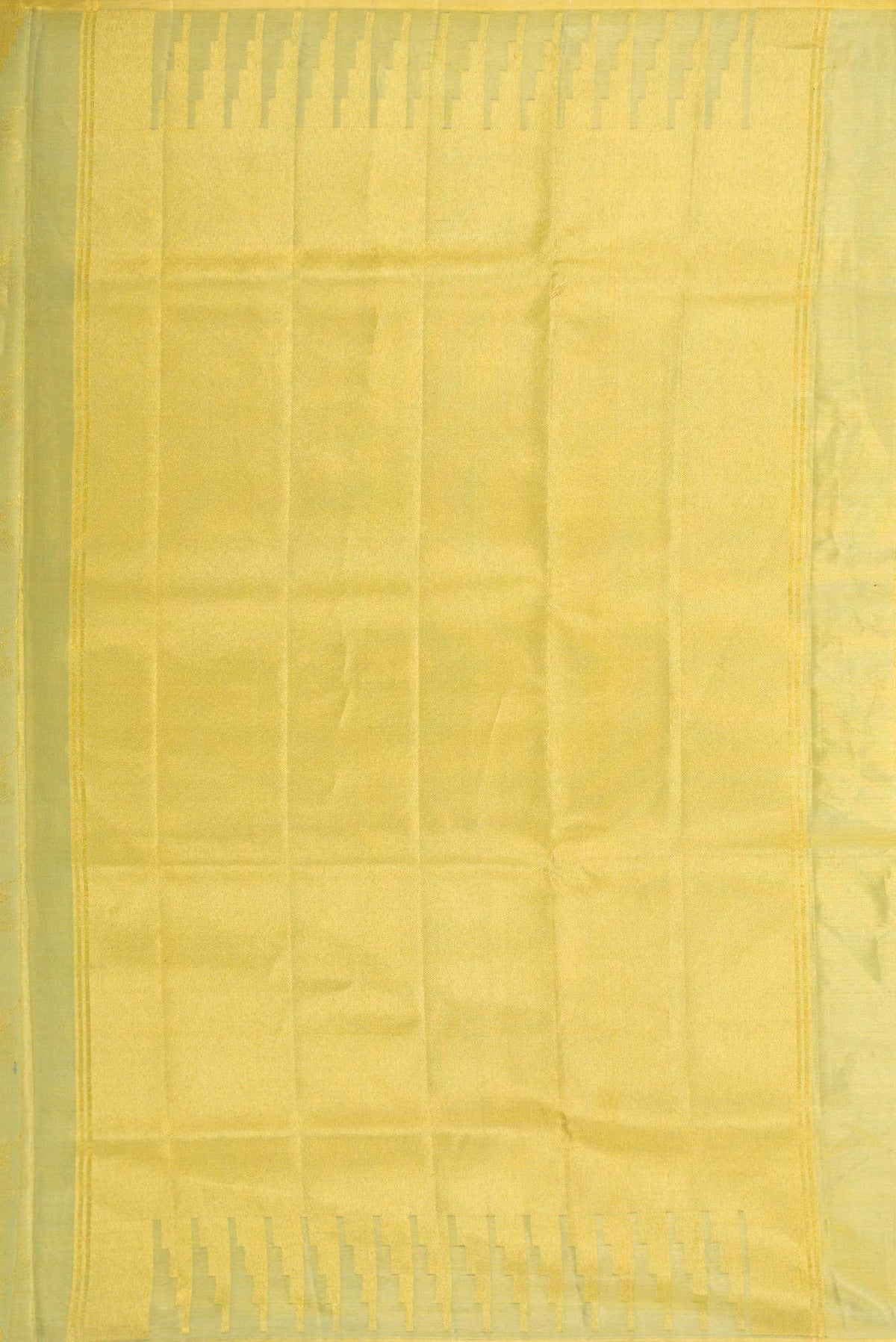 Close up image of the pallu of Light Green Dual Tone Kanchipuram Tissue Silk Saree with Zari Brocade on the body and Zari Border