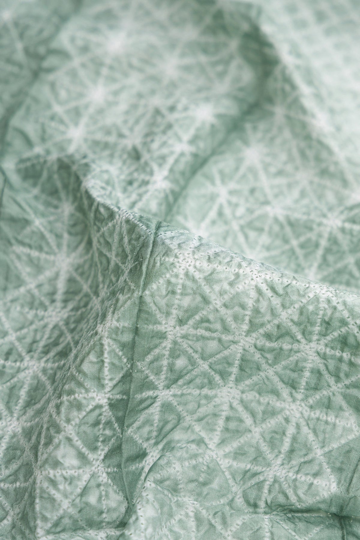 Close up of Light Green Dual Tone Tussar Silk Saree with Printed design on the body and Printed Border.  displaying folds