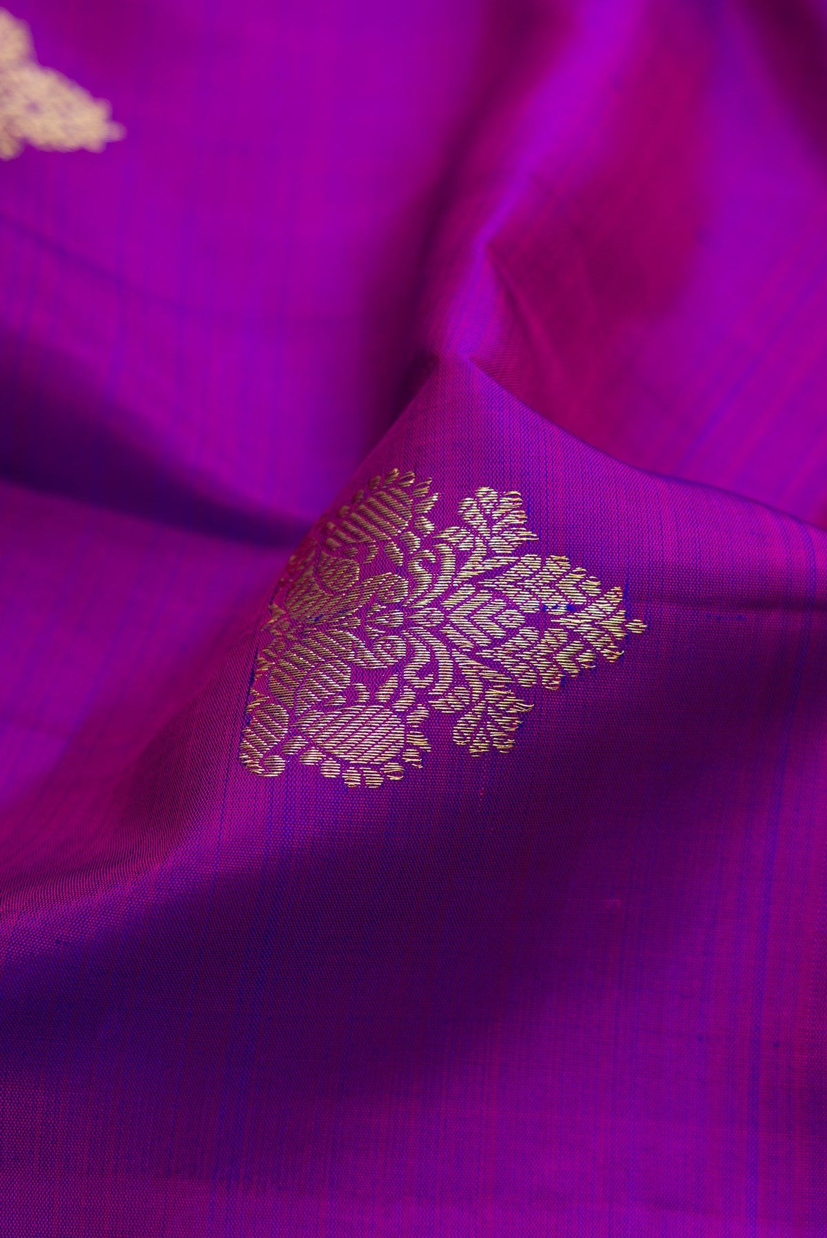 Close up of Purple Kanjivaram Silk Saree with Zari Butta on the body and Fancy Border.  displaying folds